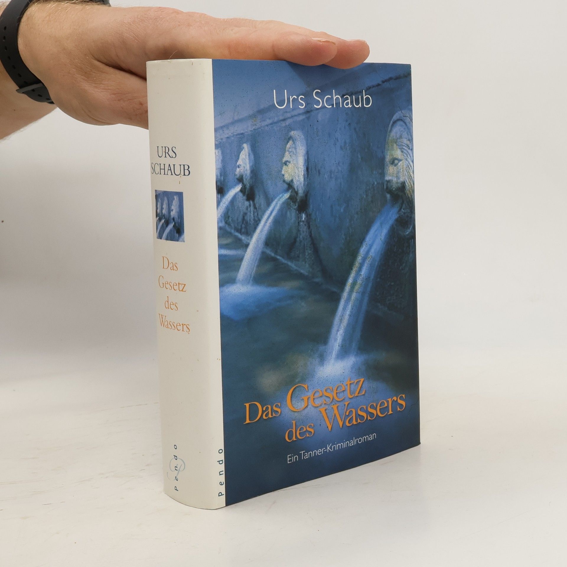 Urs Schaub Das Gesetz des Wassers