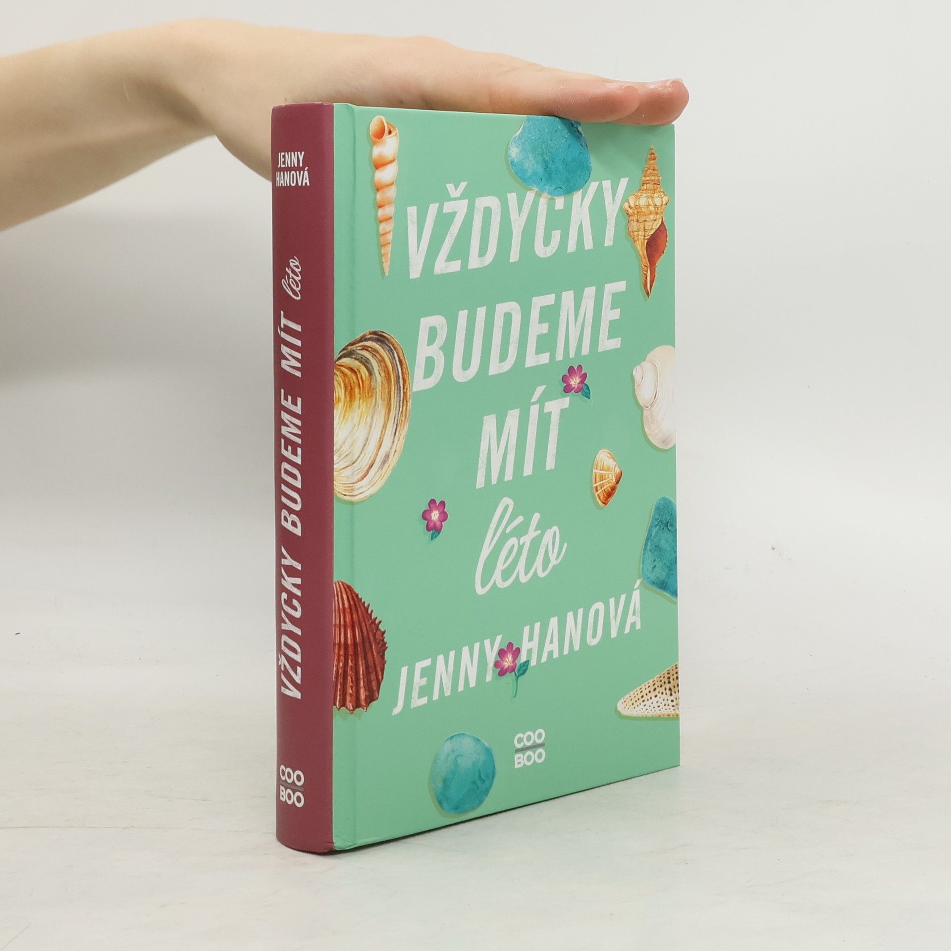 Jenny Han Vždycky budeme mít léto