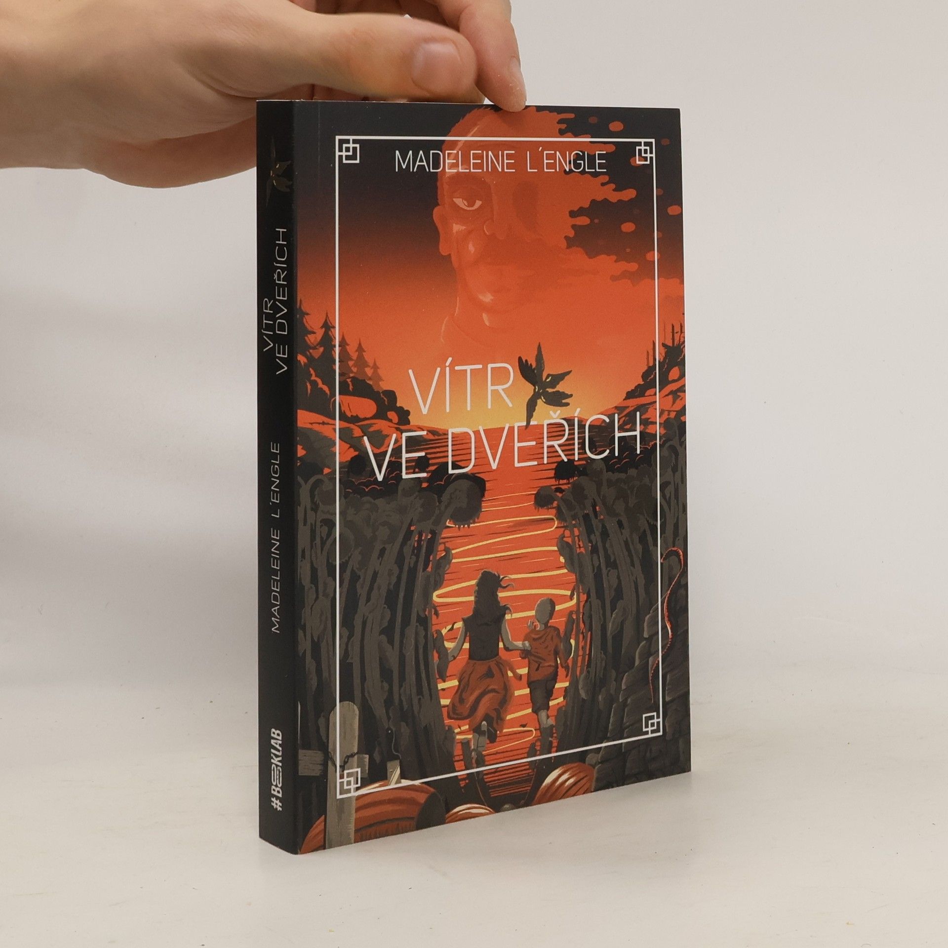 Madeleine L’Engle Vítr ve dveřích