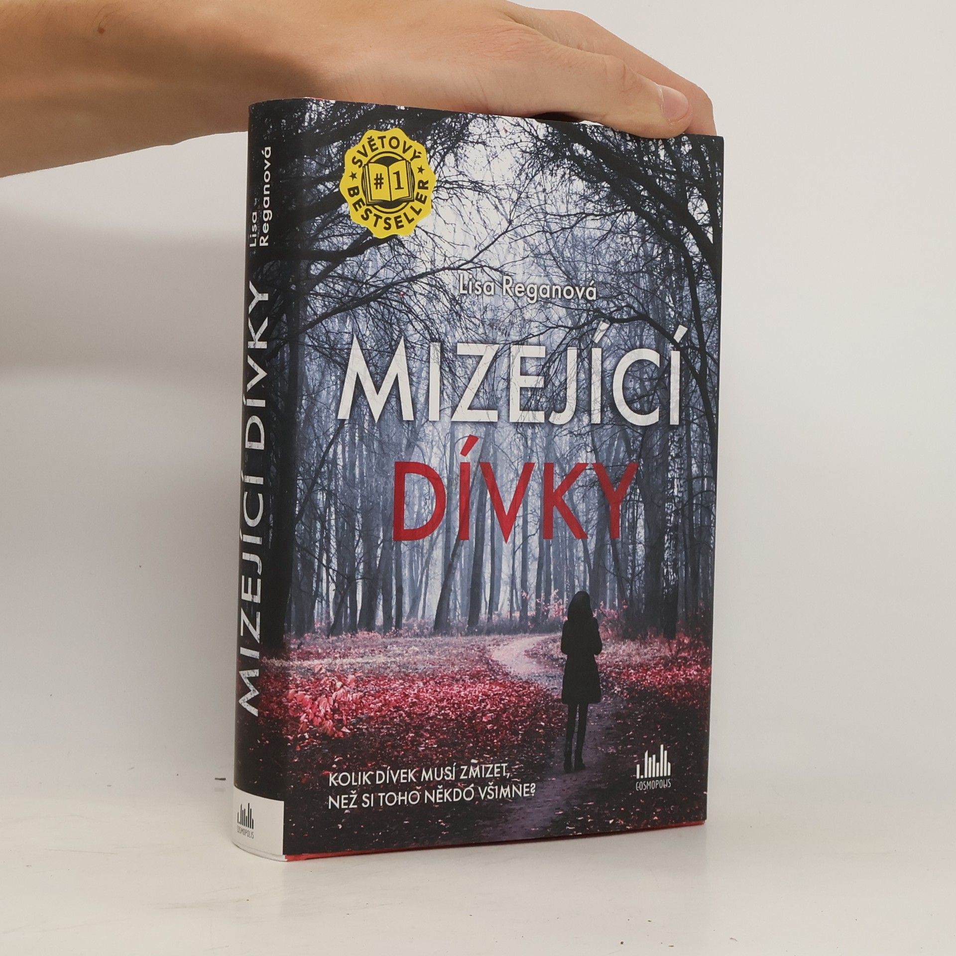 Lisa Regan Mizející dívky