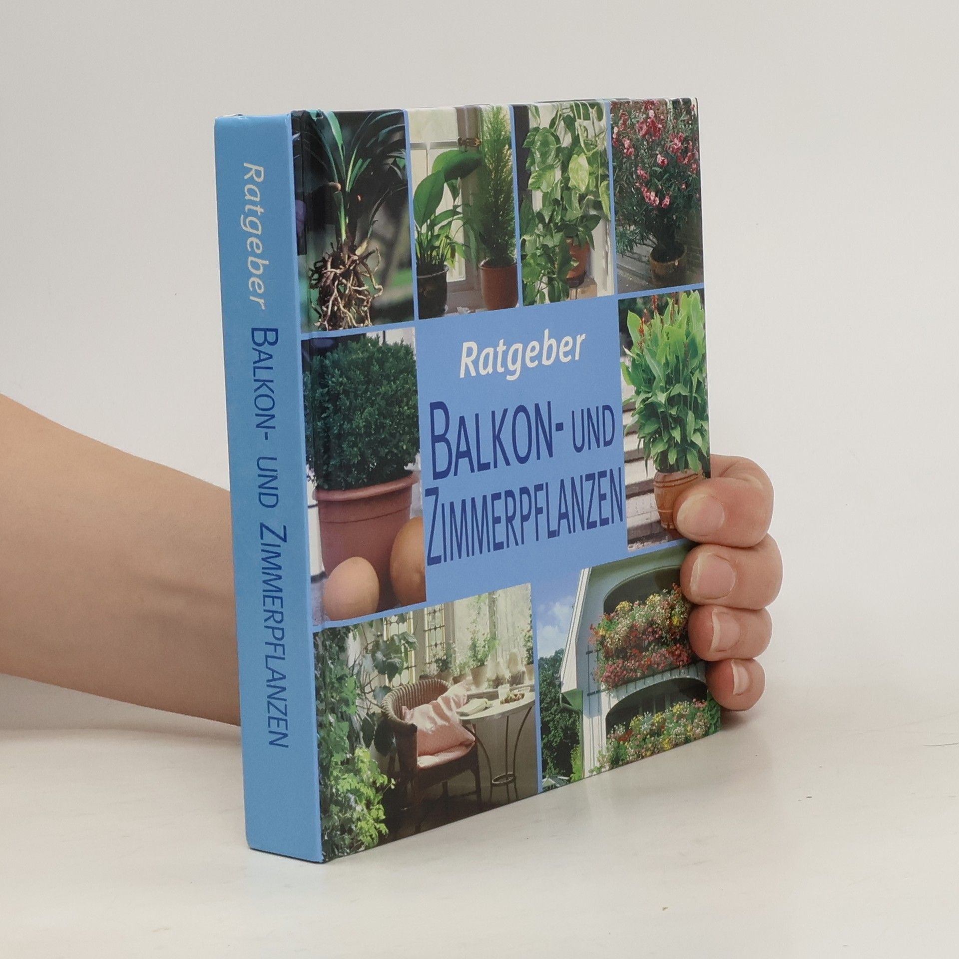 Andrea Rausch Ratgeber Balkon- und Zimmerpflanzen