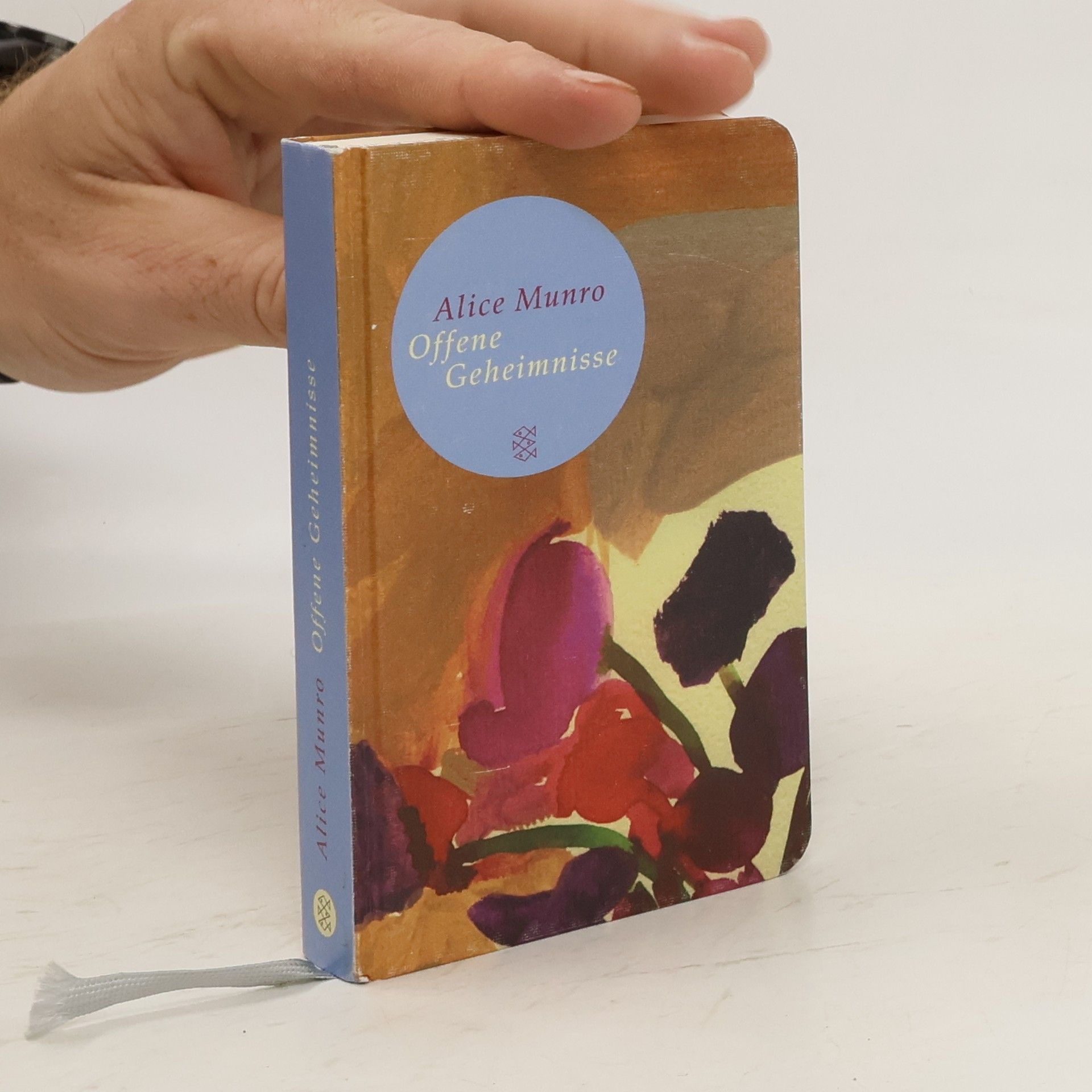 Alice Munro Offene Geheimnisse
