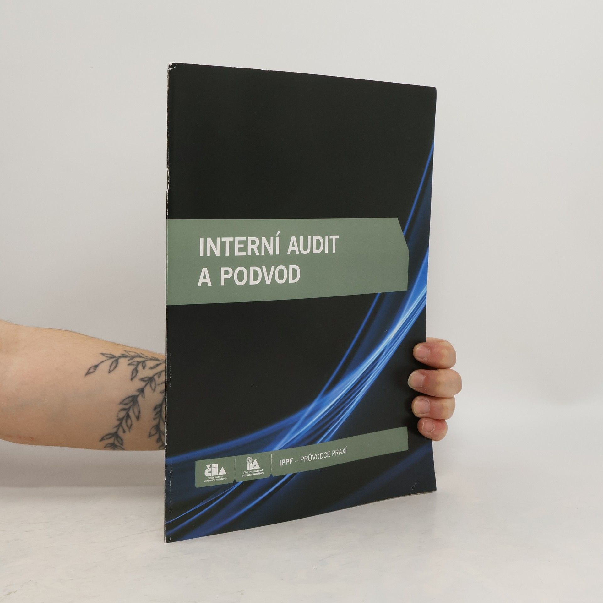 Collectif d'auteurs Interní audit a podvod
