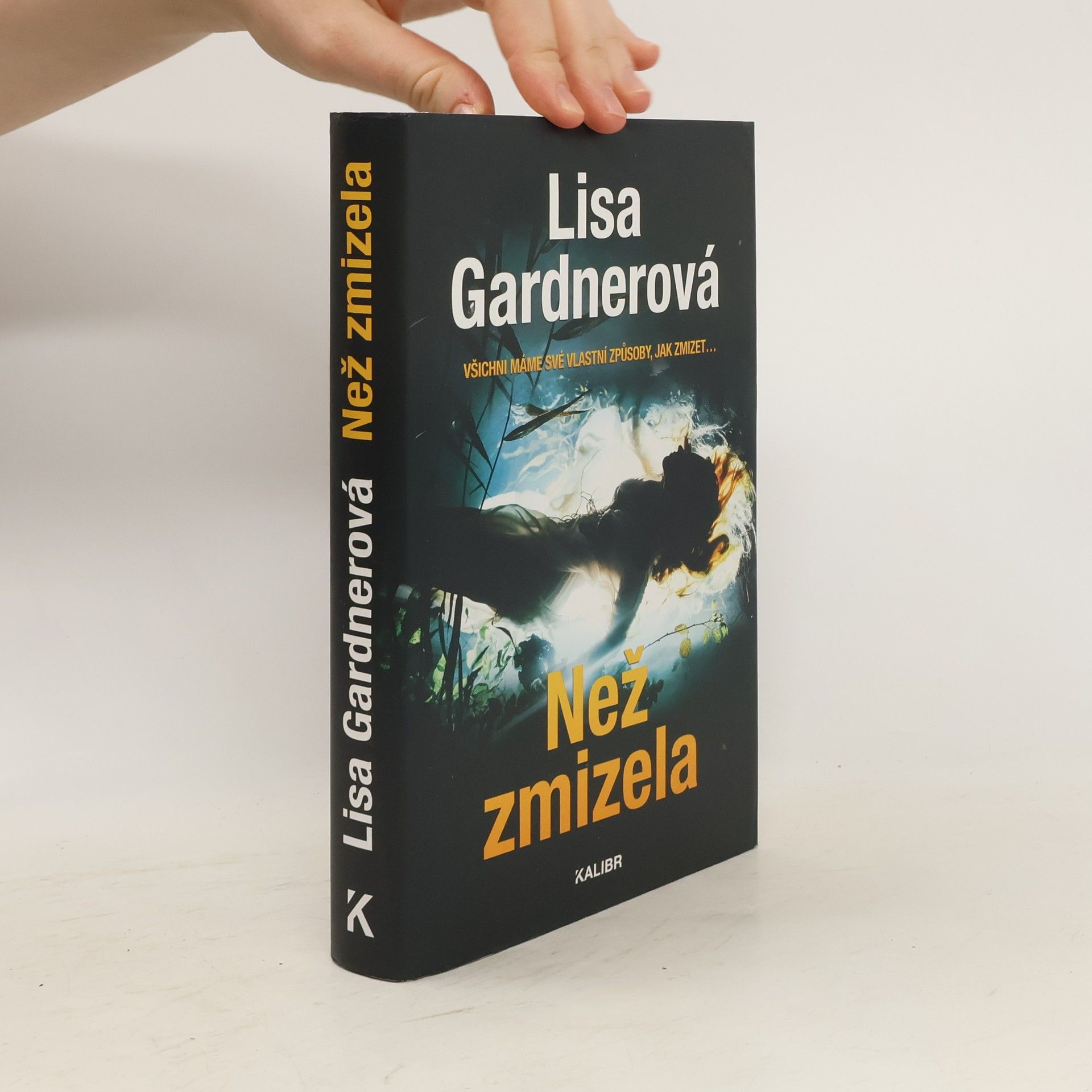Irena Steinerová Než zmizela