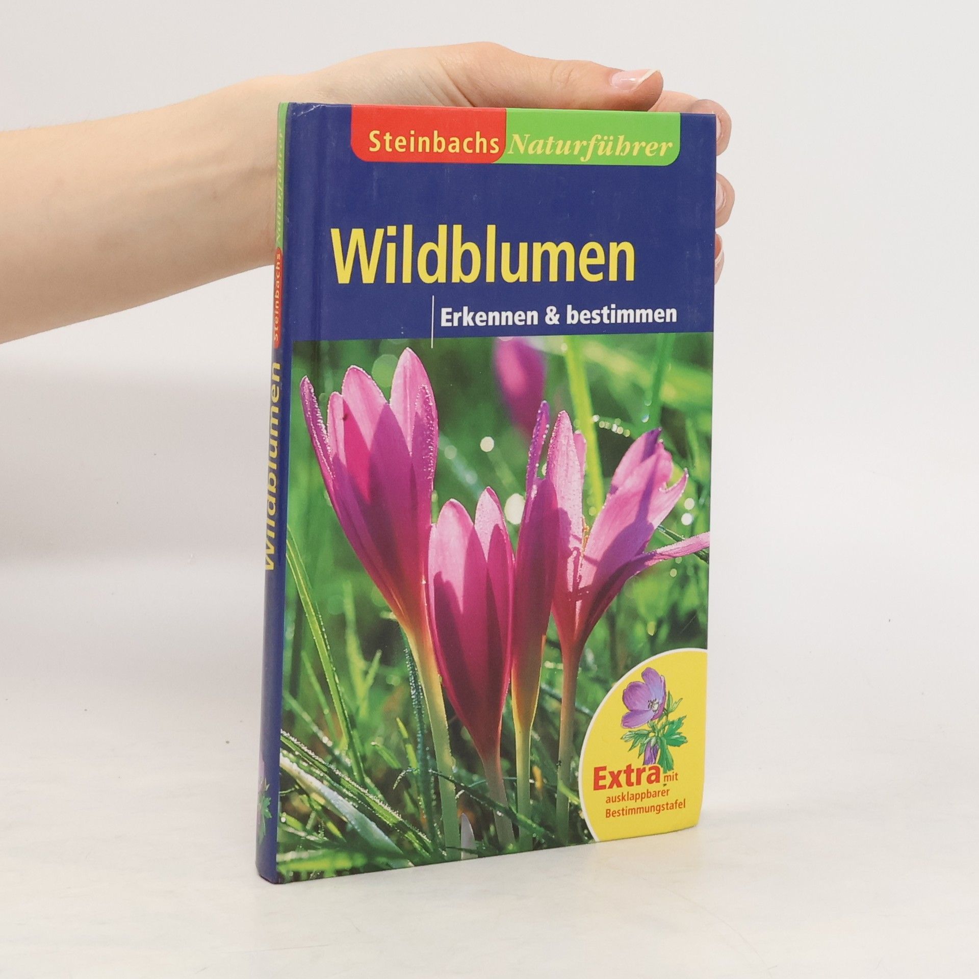 Collectif d'auteurs Wildblumen