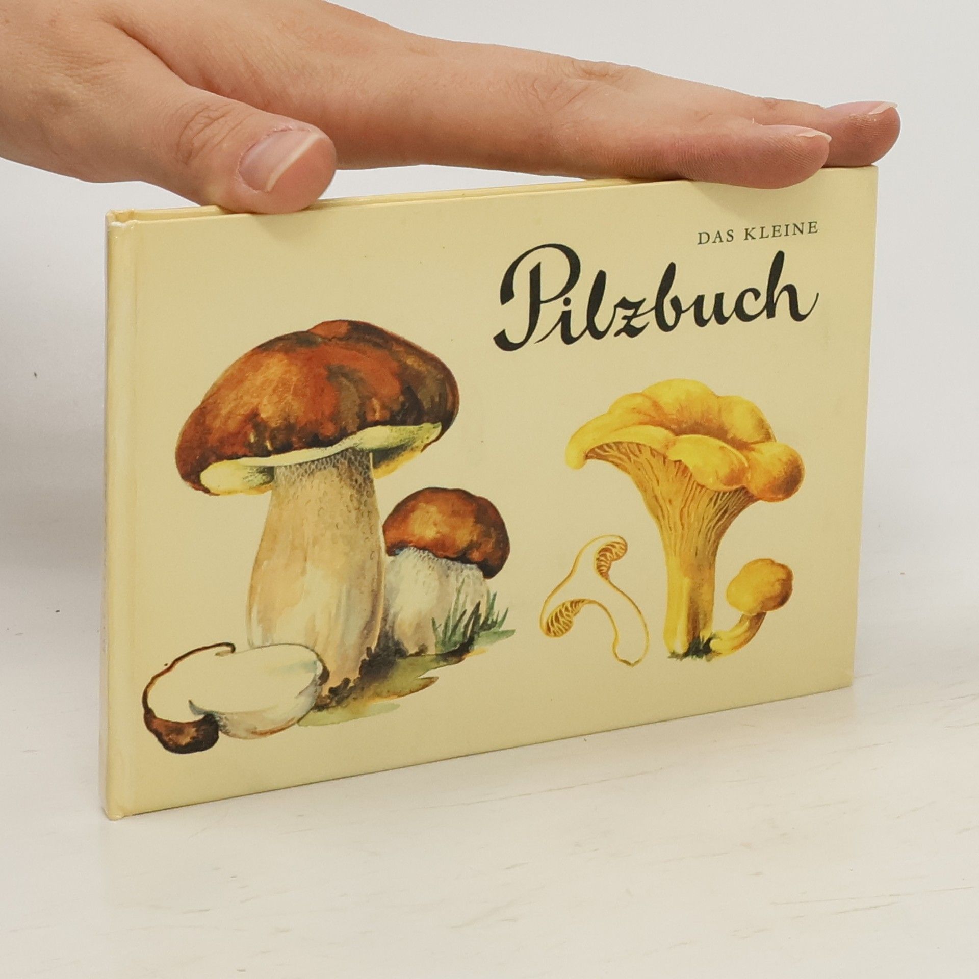 kolektiv Das Kleine Pilzbuch