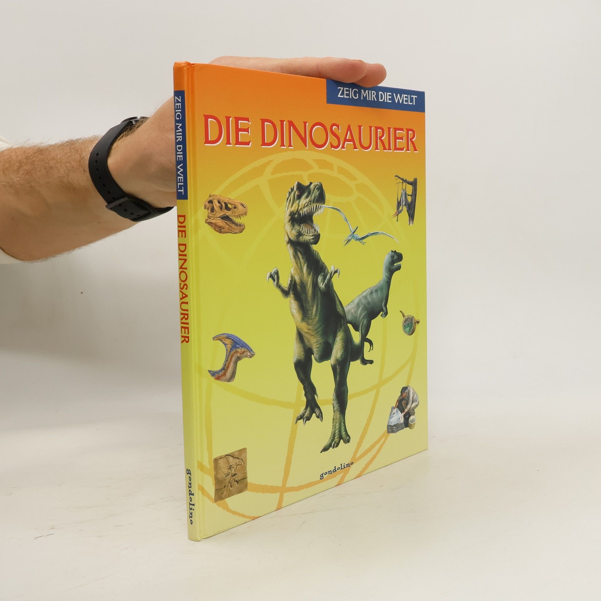 Marilis Lunkenbein Die Dinosaurier