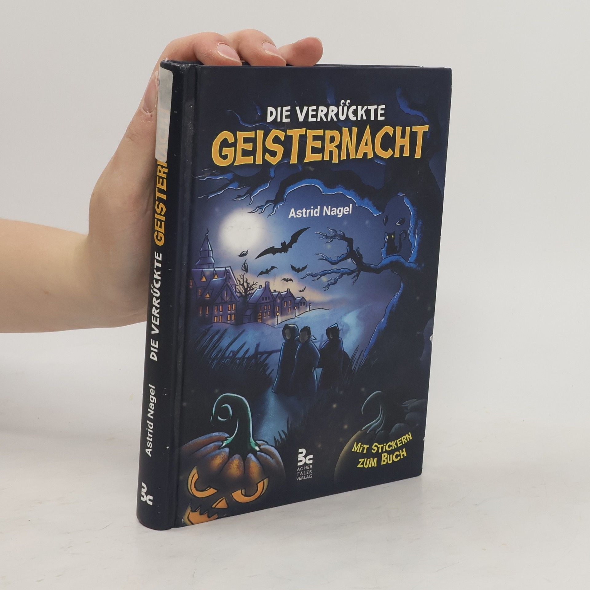 Astrid Nagel Die verrückte Geisternacht