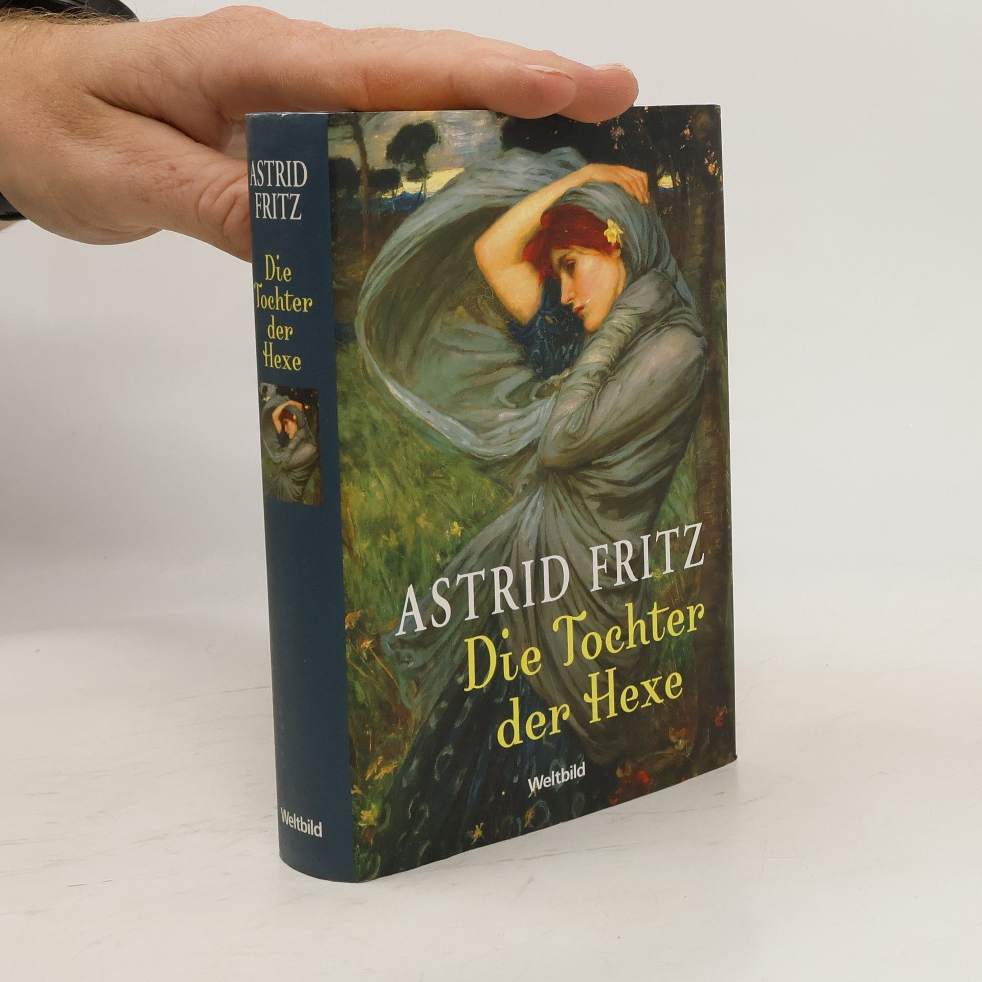 Astrid Fritz Die Tochter der Hexe