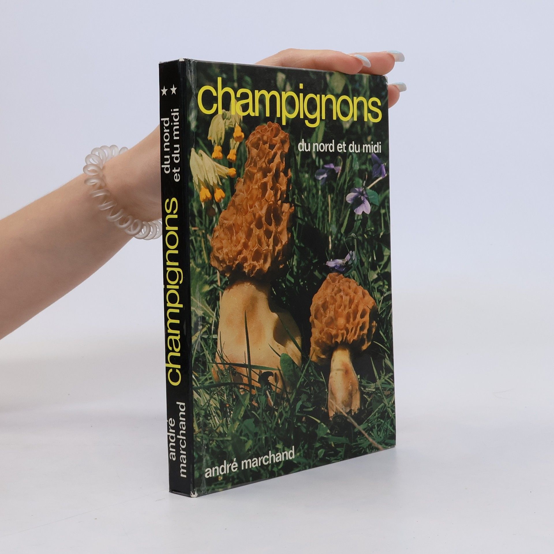 Andre Marchand Champignons du nord et du midi