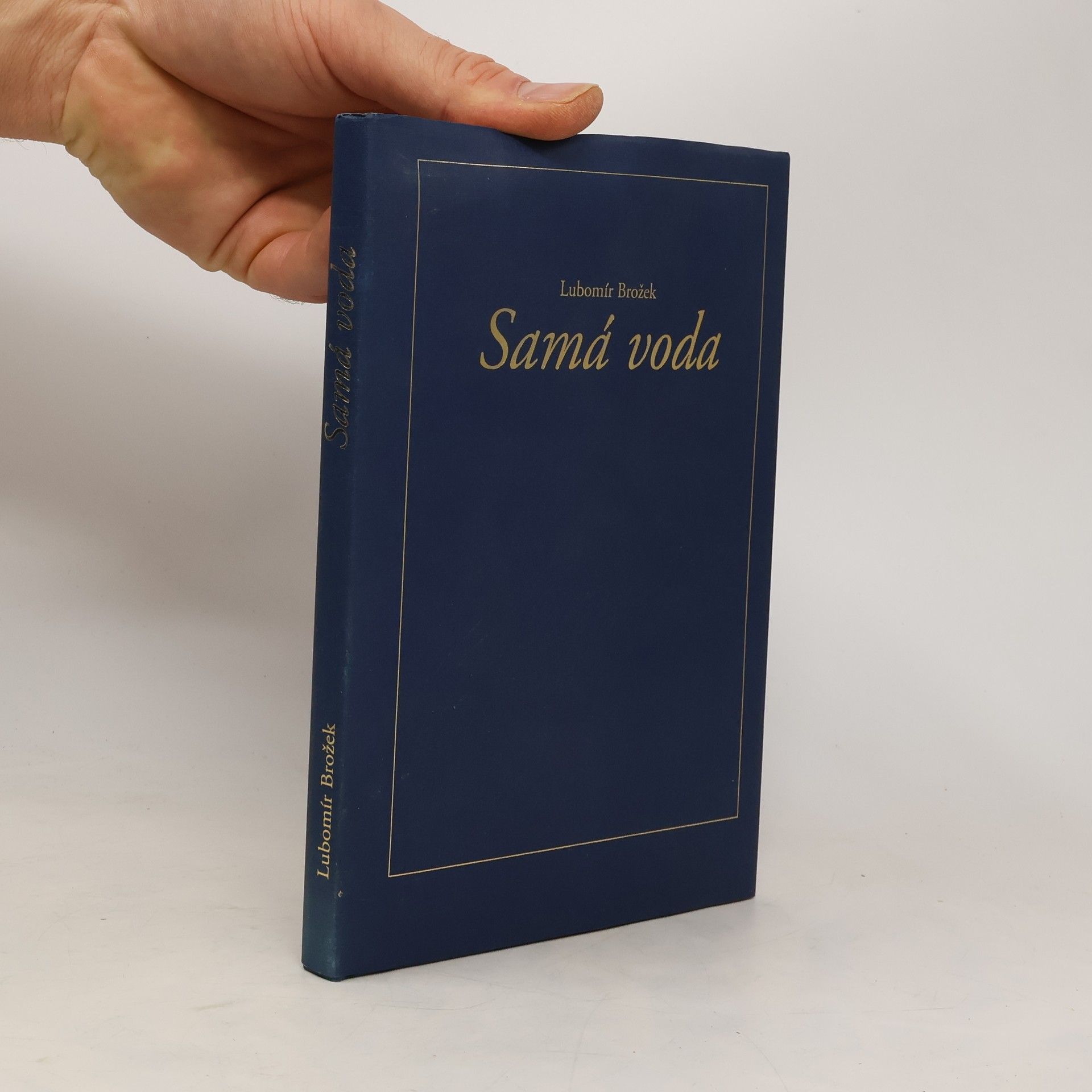Lubomír Brožek Samá voda