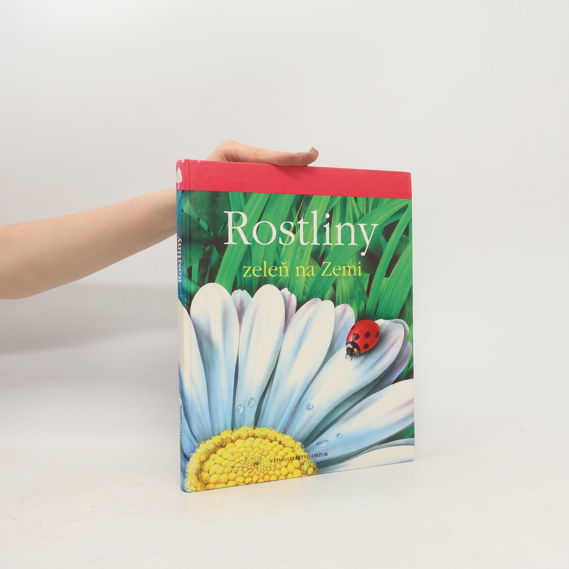 Lucia Benedittiová Rostliny. Zeleň na zemi