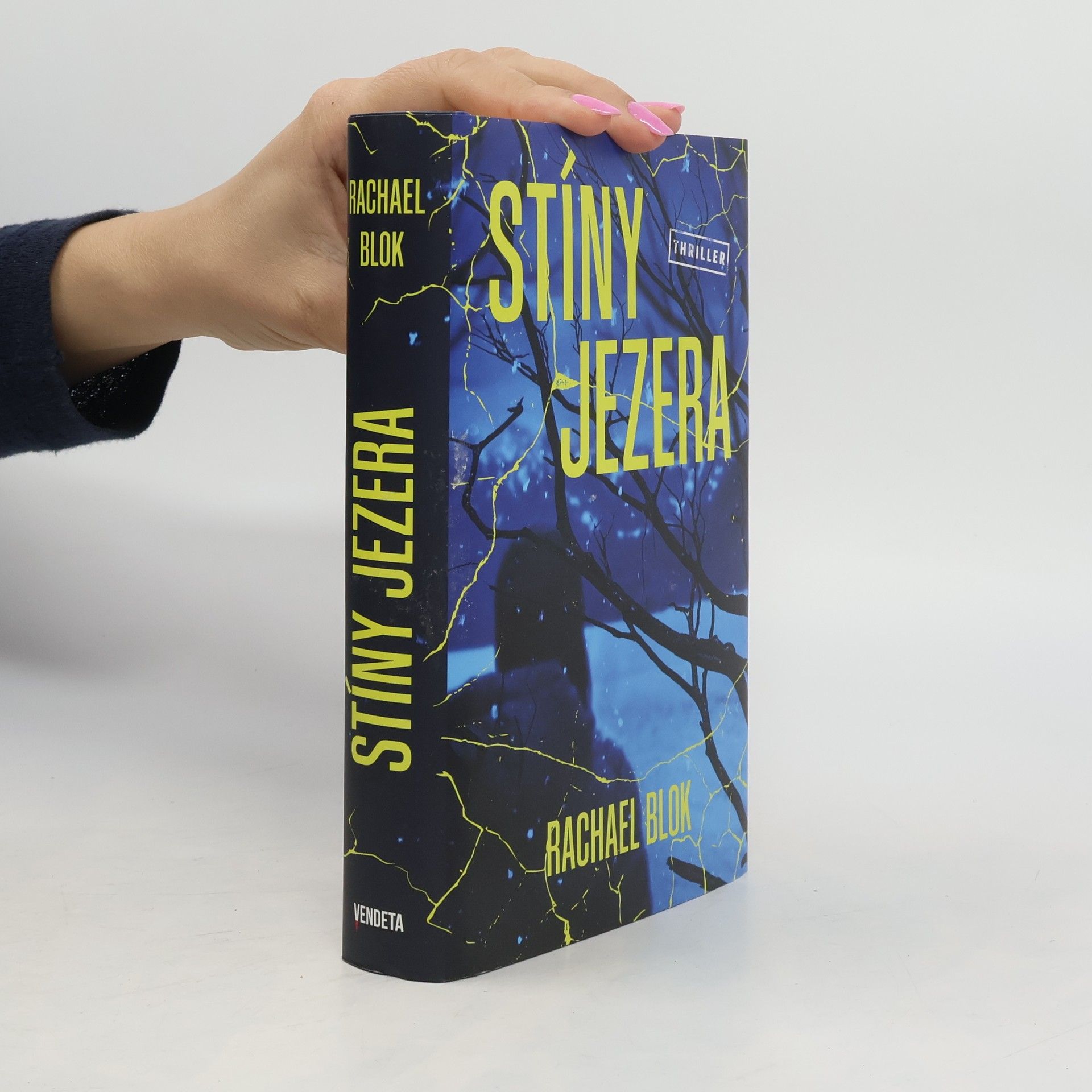 Rachael Blok Stíny jezera