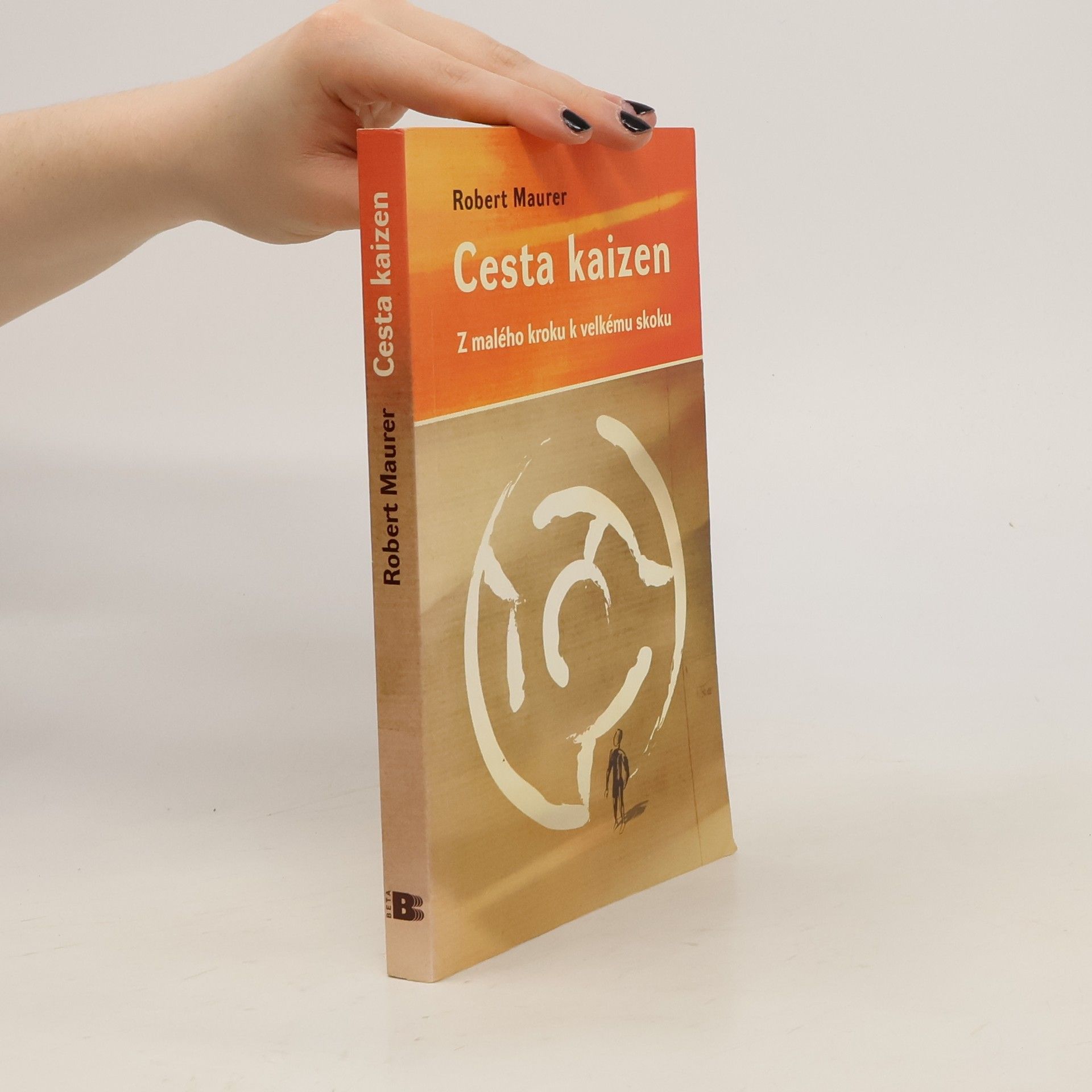 Robert Maurer Cesta kaizen