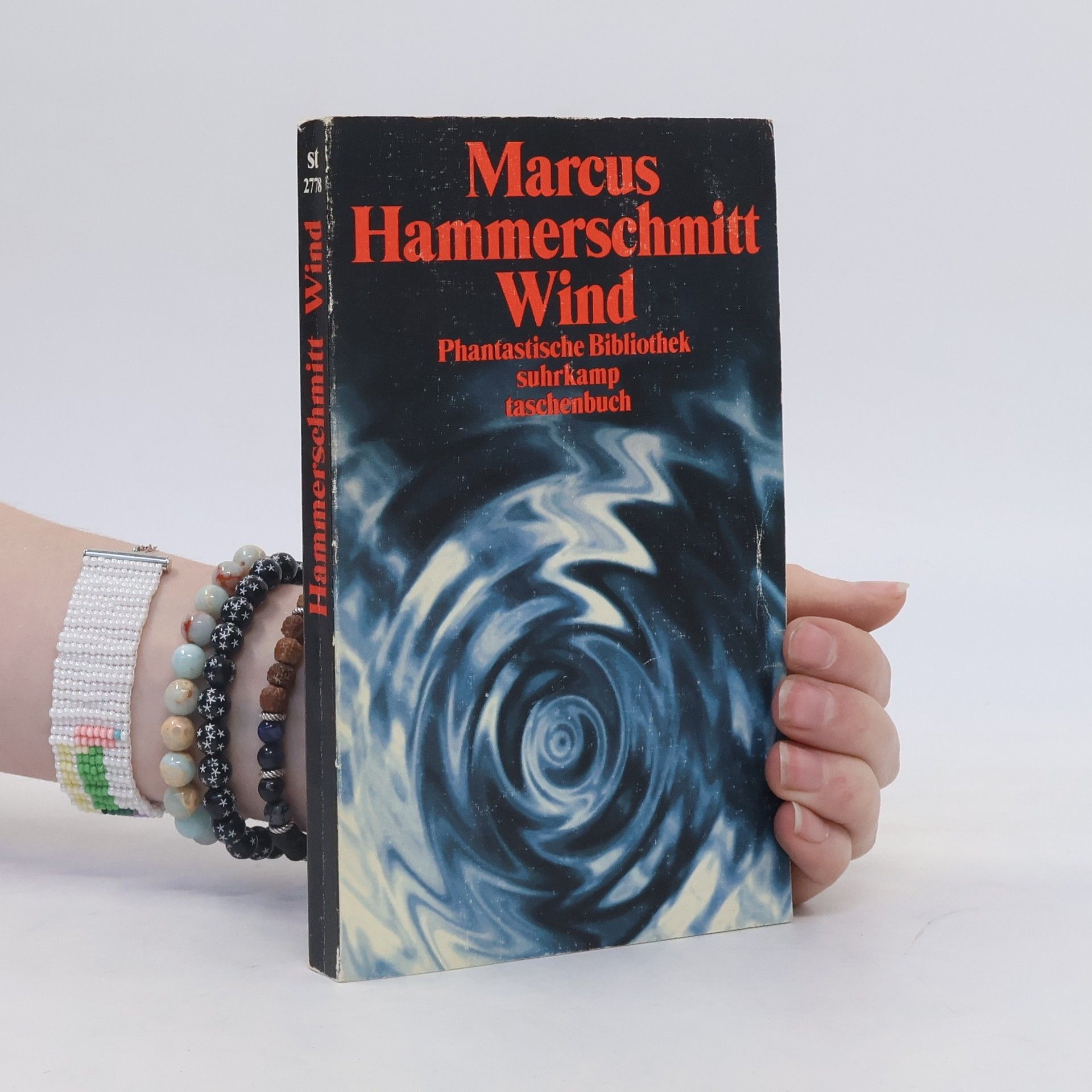 Marcus Hammerschmitt Wind. Zwei Romane