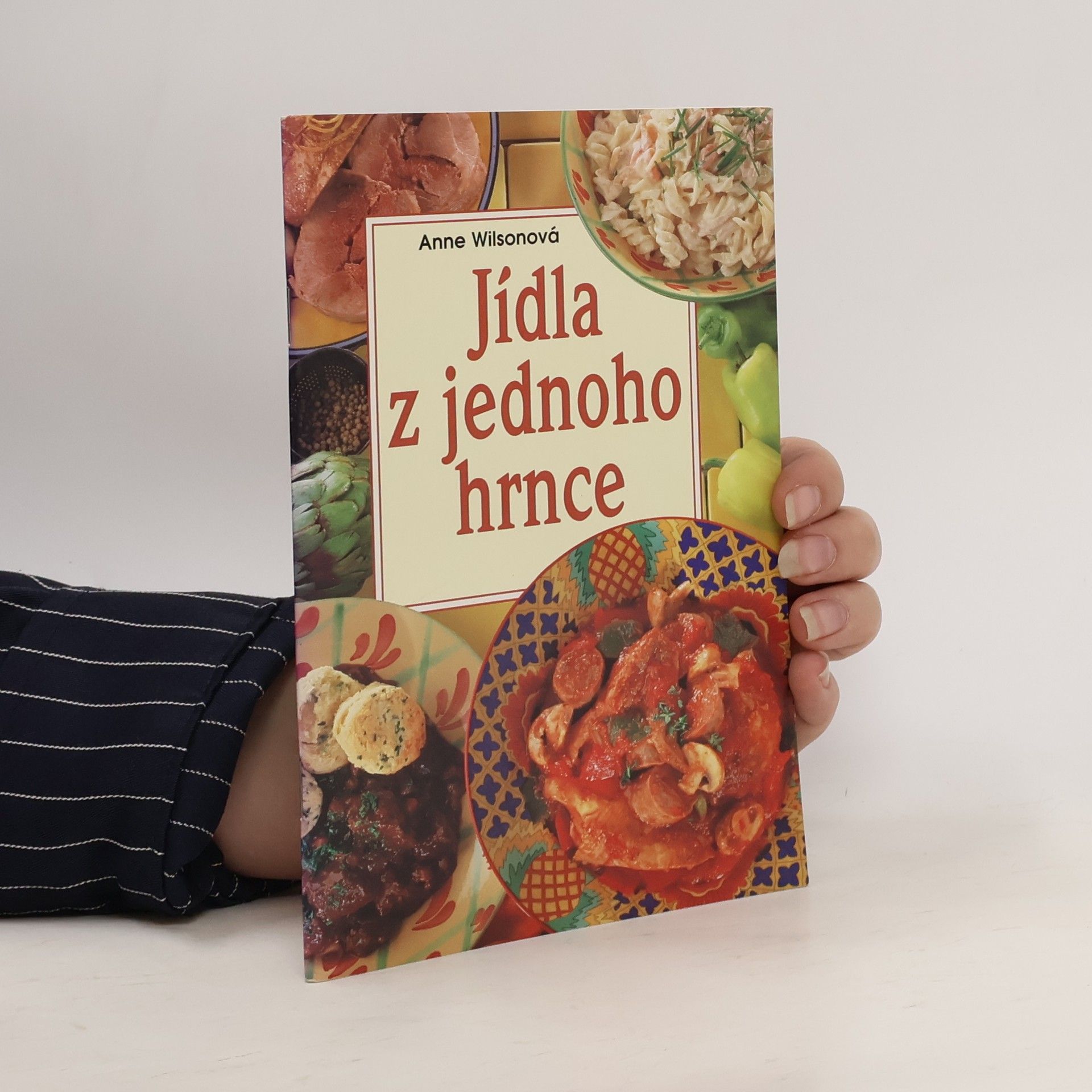 Anne Wilson Jídla z jednoho hrnce