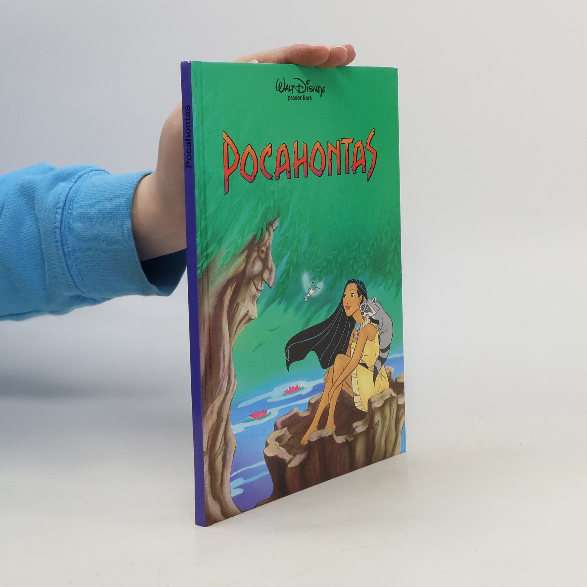 kolektiv Pocahontas