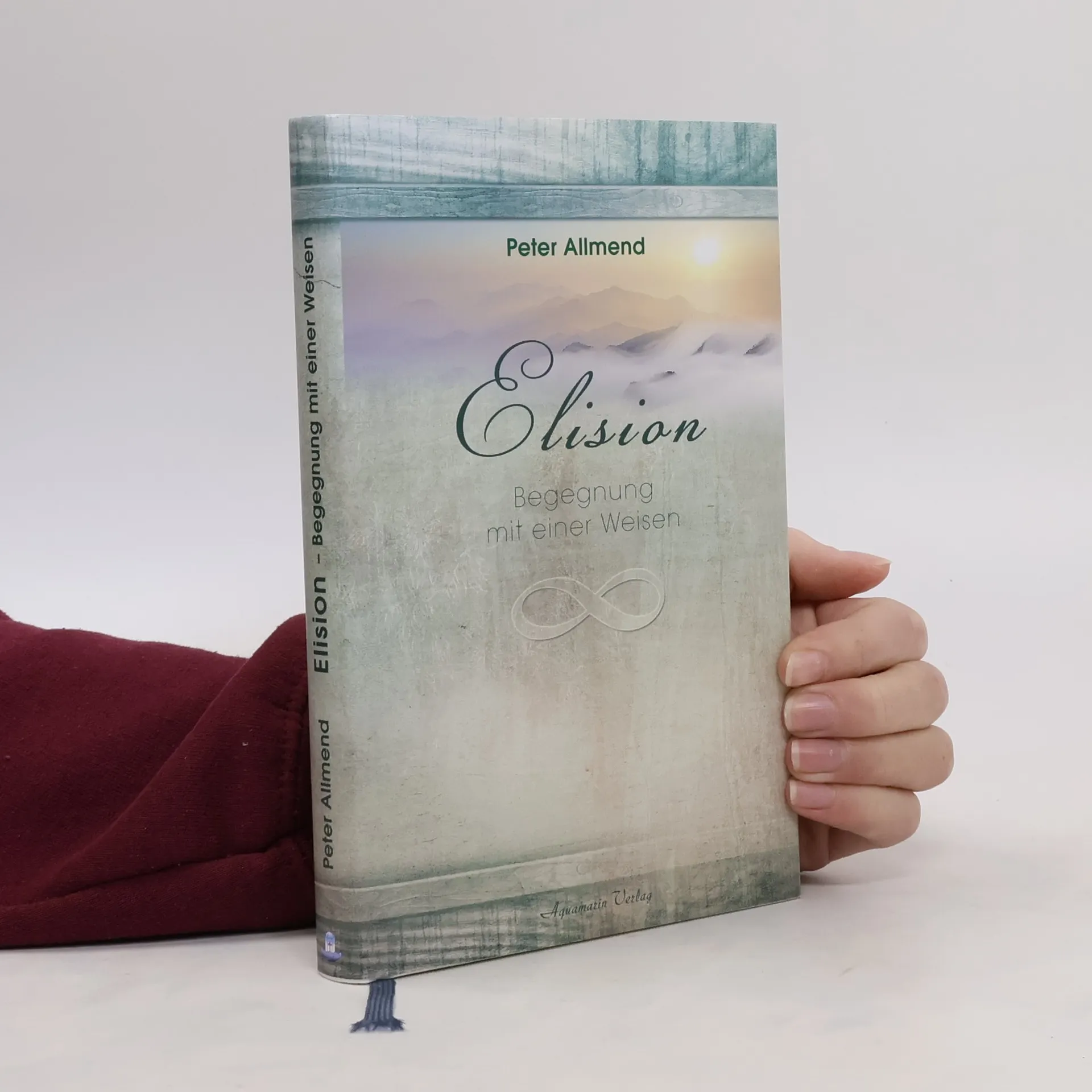 Elision | Book | Peter Allmend | DE