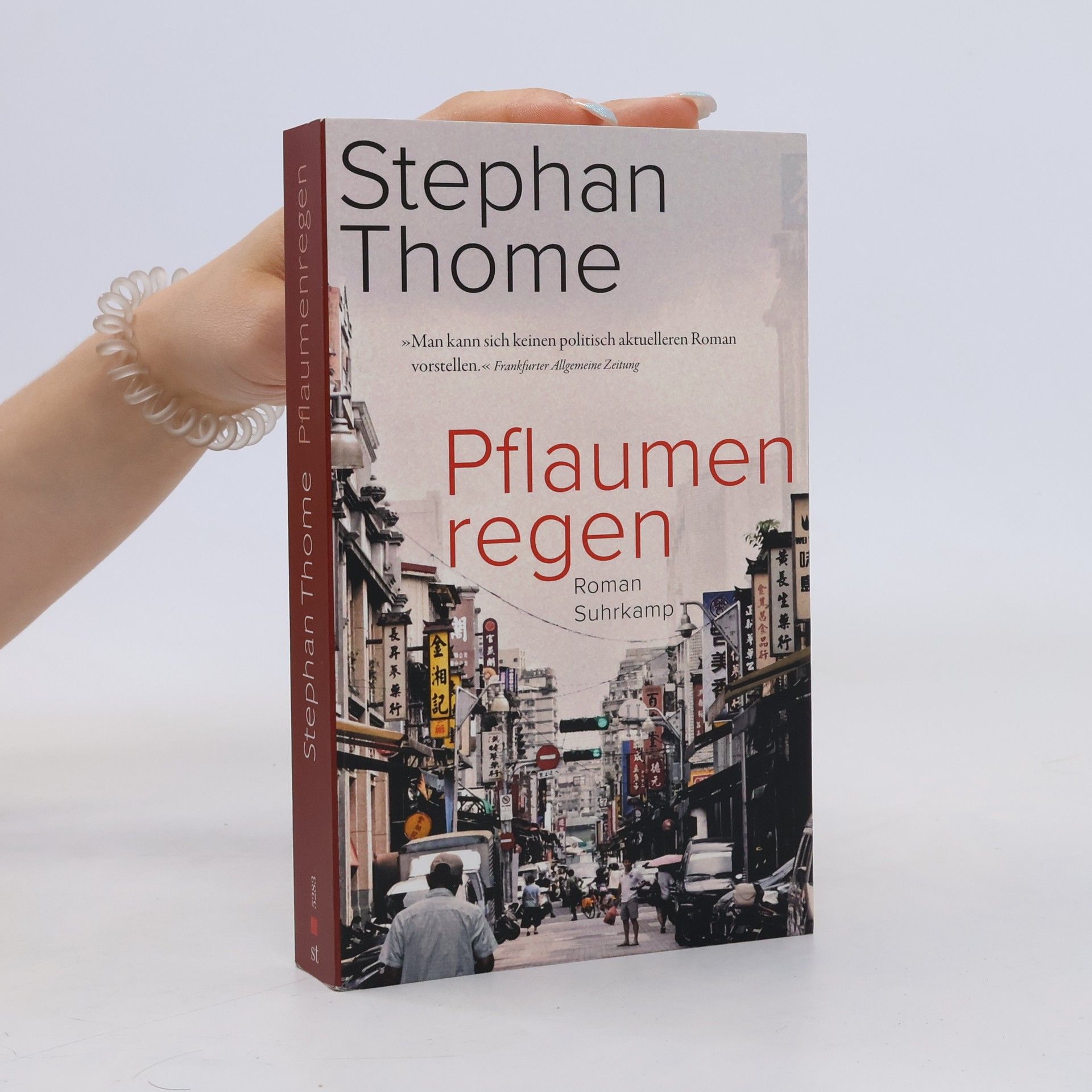 Stephan Thome Pflaumenregen