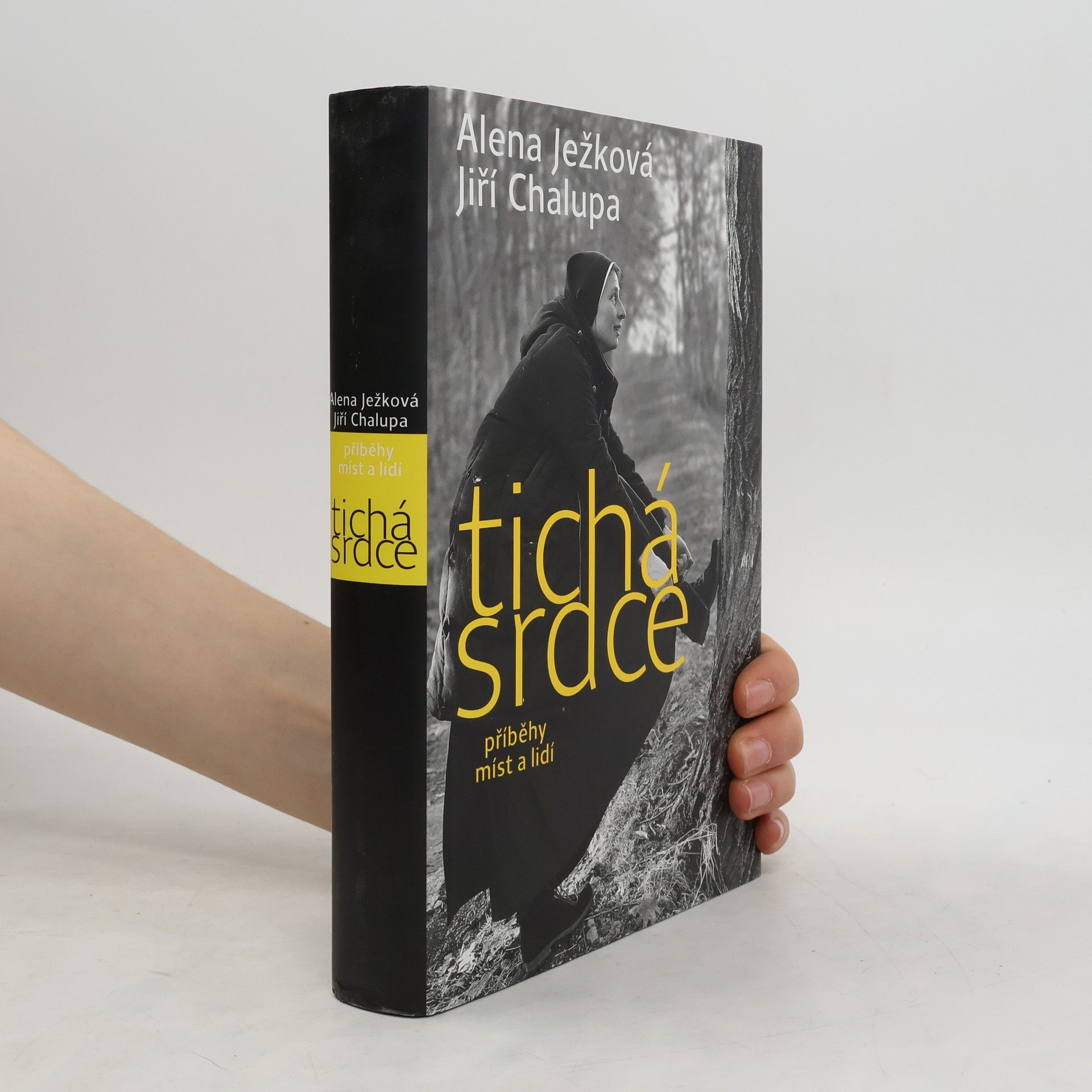 Alena Ježková Tichá srdce. Příběhy míst a lidí