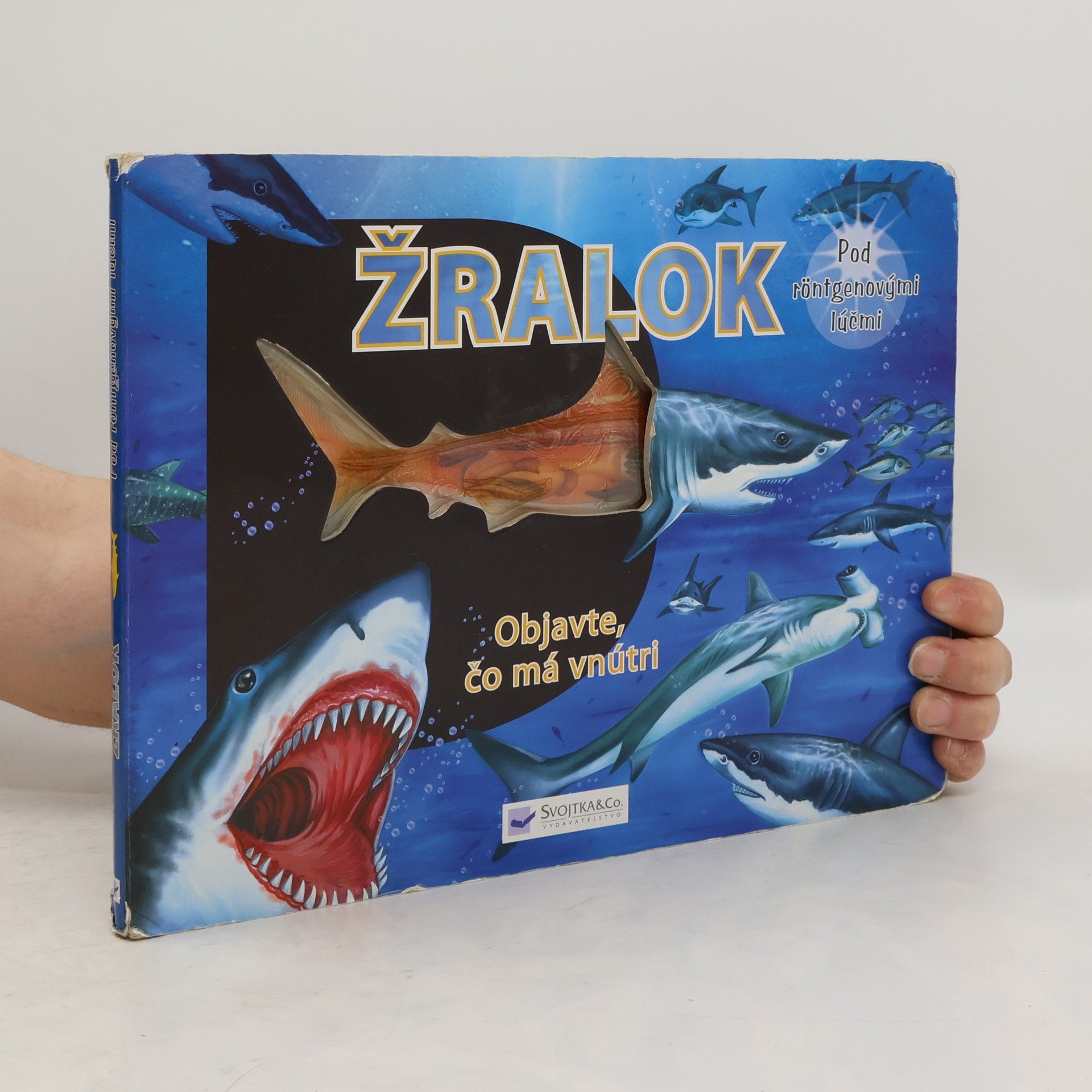 kolektiv Žralok