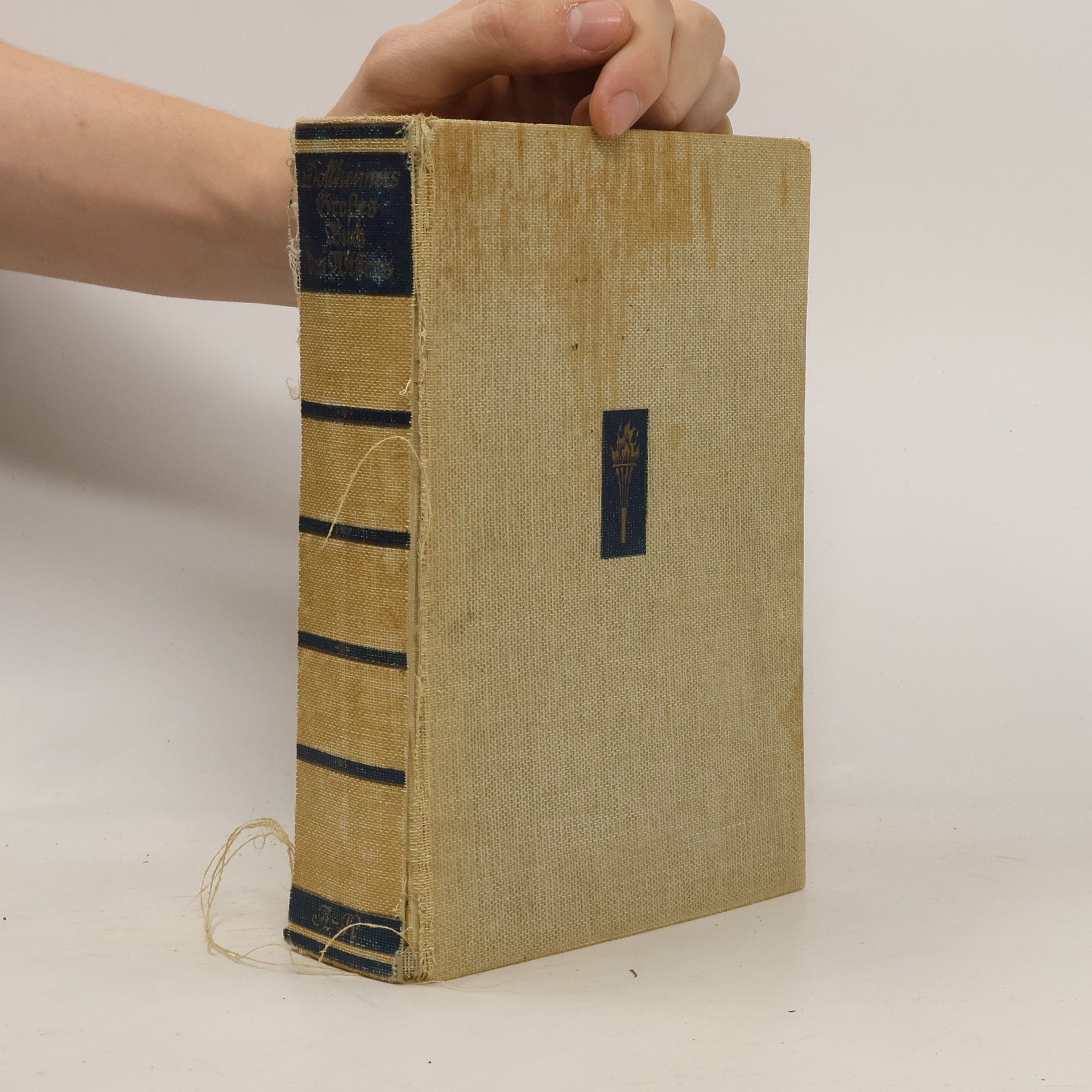 AA.VV. Dollheimers Grosses Buch des Wissens in zwei Bänden. Band 1