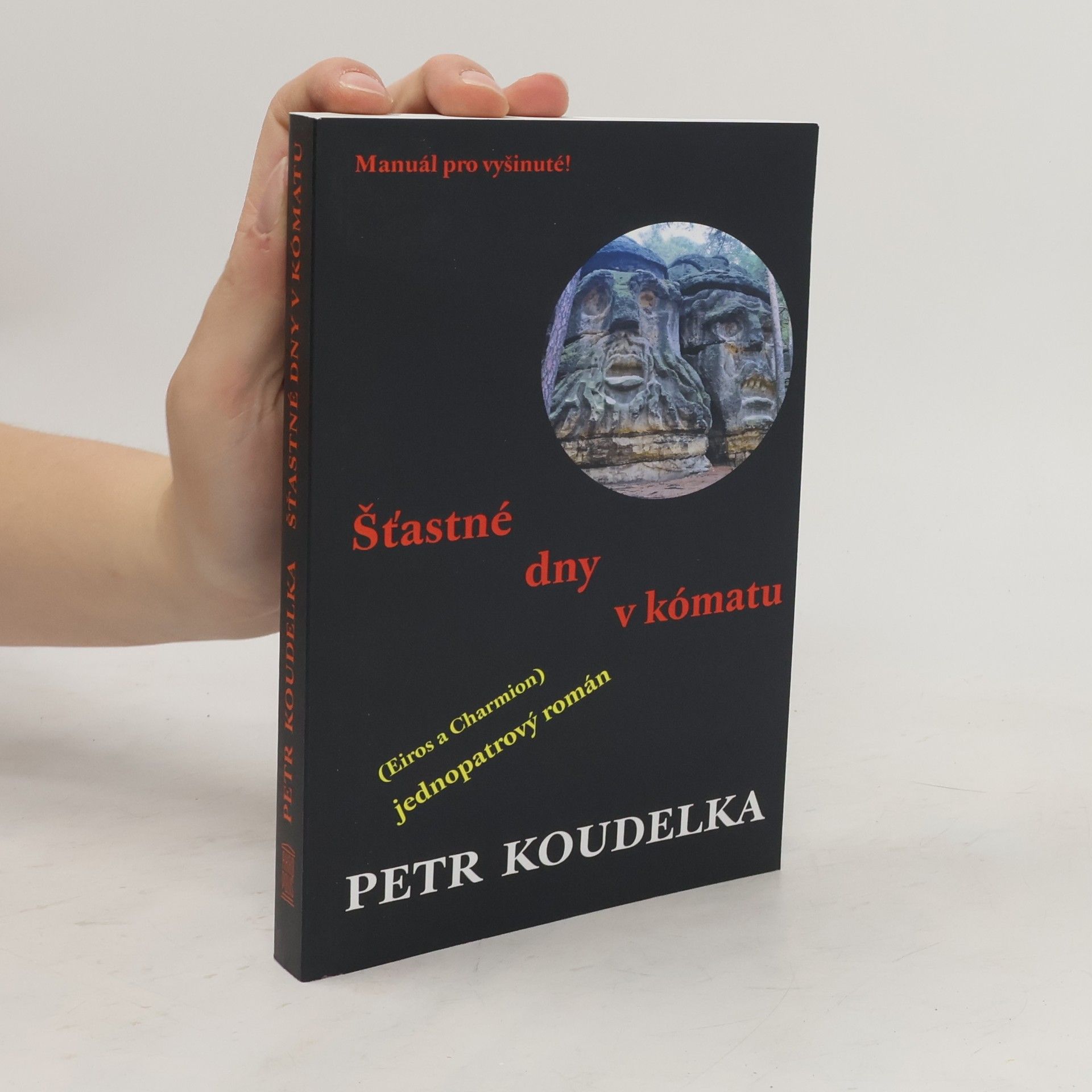 Petr Koudelka Šťastné dny v kómatu : (Eiros a Charmion) : jednopatrový román