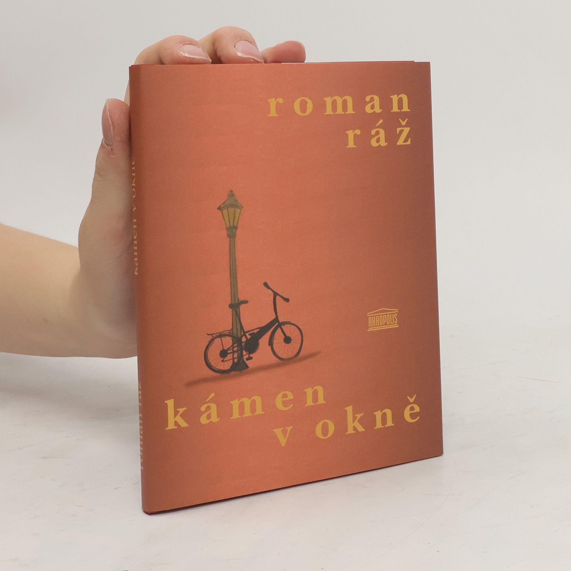 Roman Ráž Kámen v okně