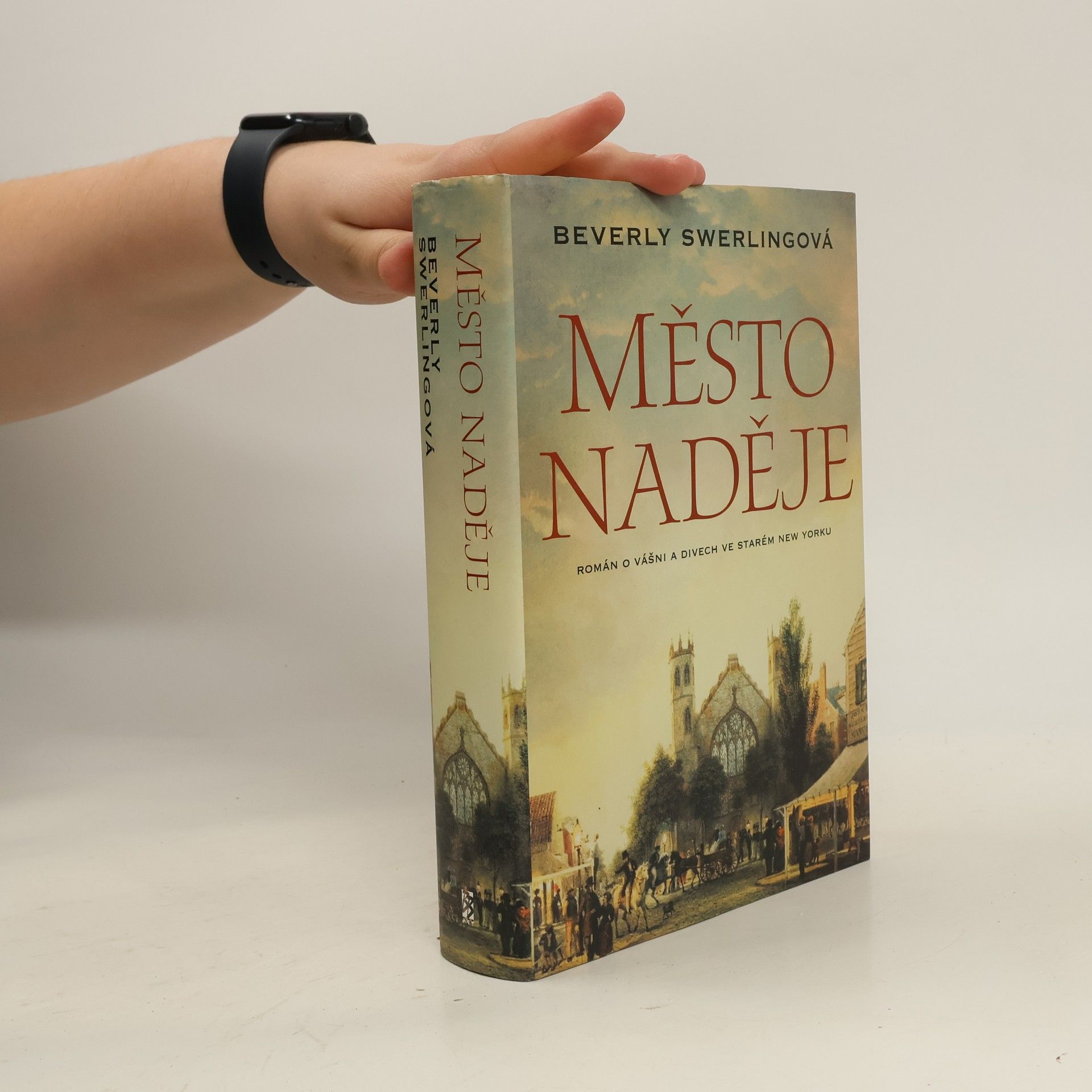 Beverly Swerling Město naděje