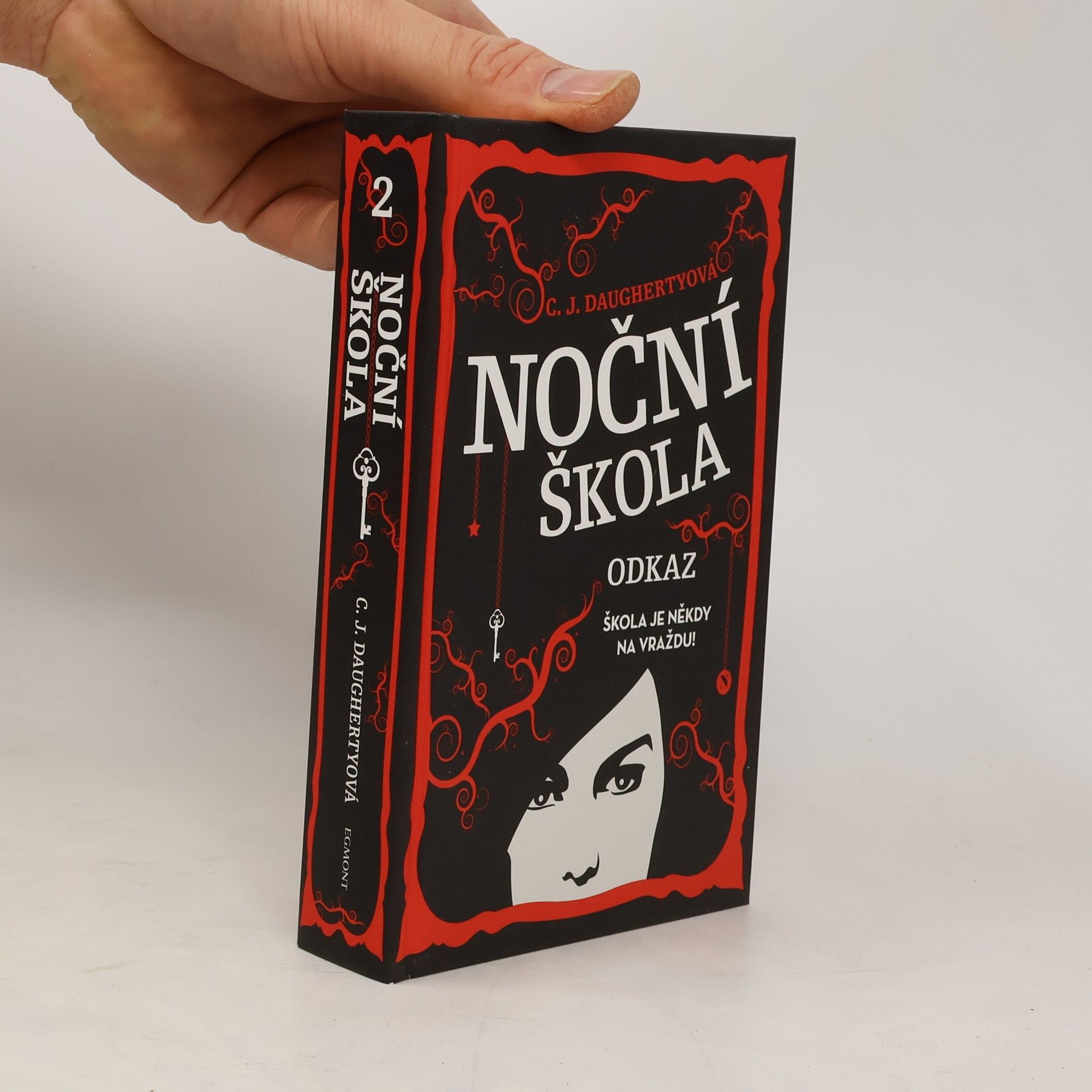 Christi Daugherty Noční škola. Odkaz