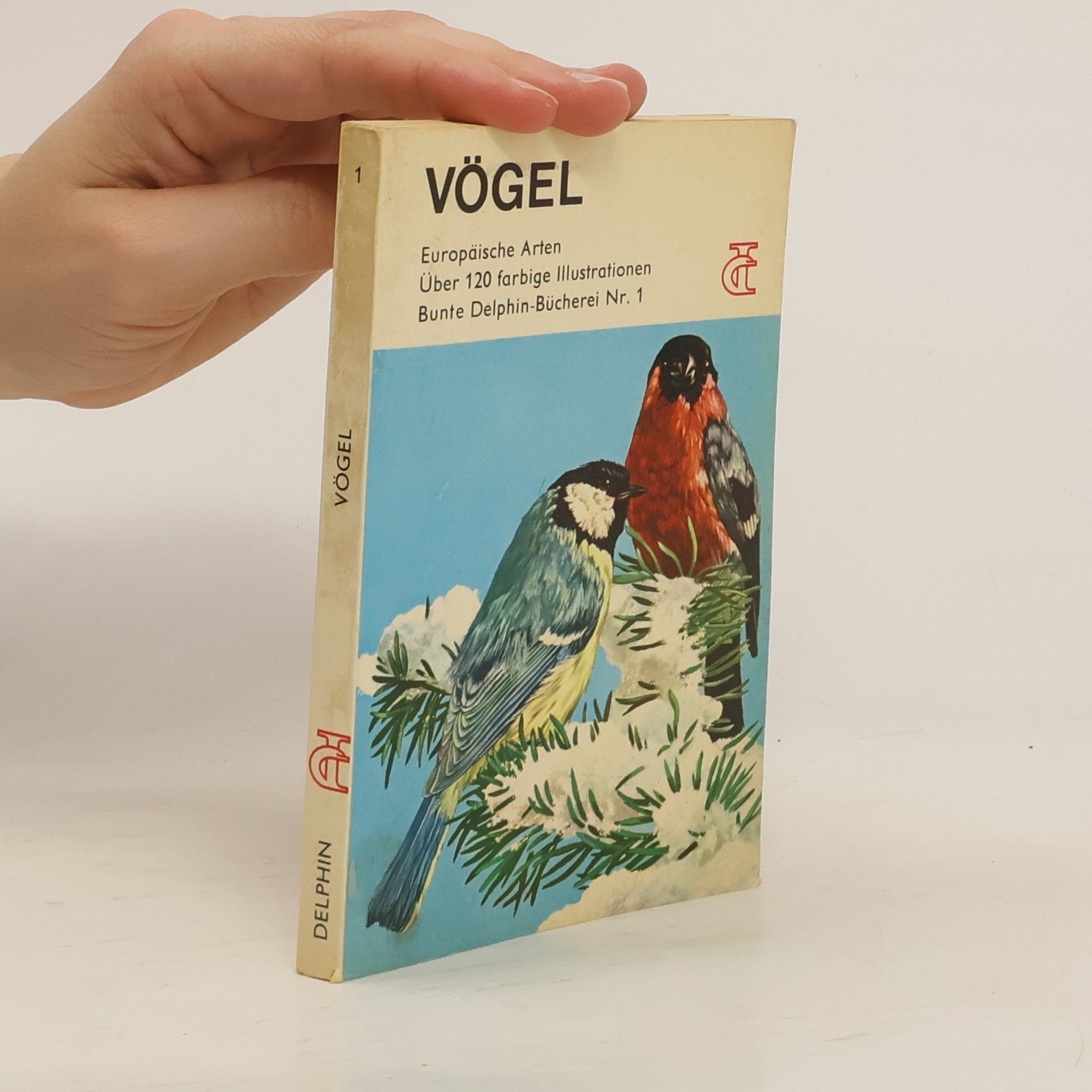 Yvonne Letouzey Vögel