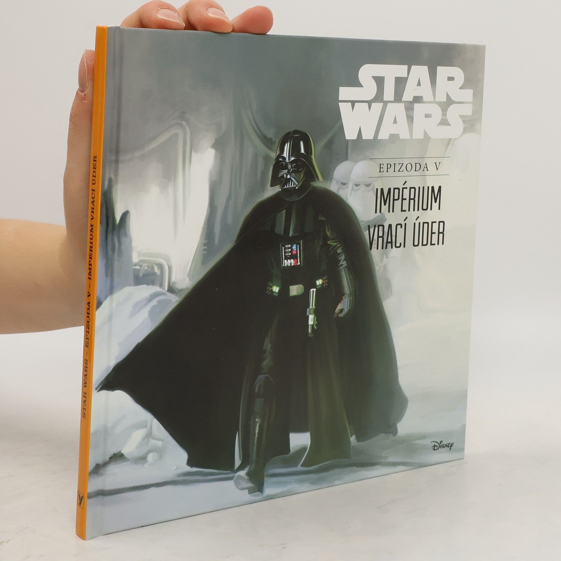 Ryder Windham Star Wars. Epizoda V, Impérium vrací úder