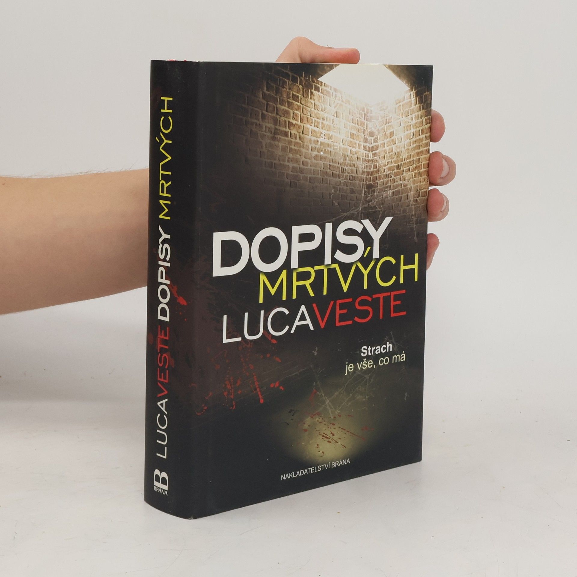 Luca Veste Dopisy mrtvých