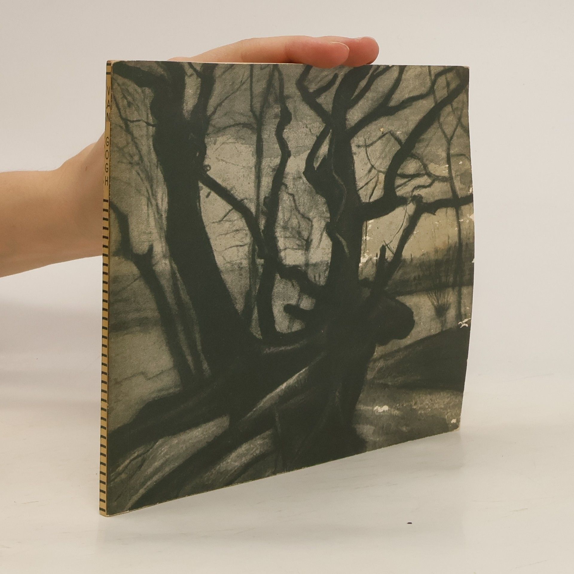 Collective Catalogue of 272 Works by Vincent van Gogh