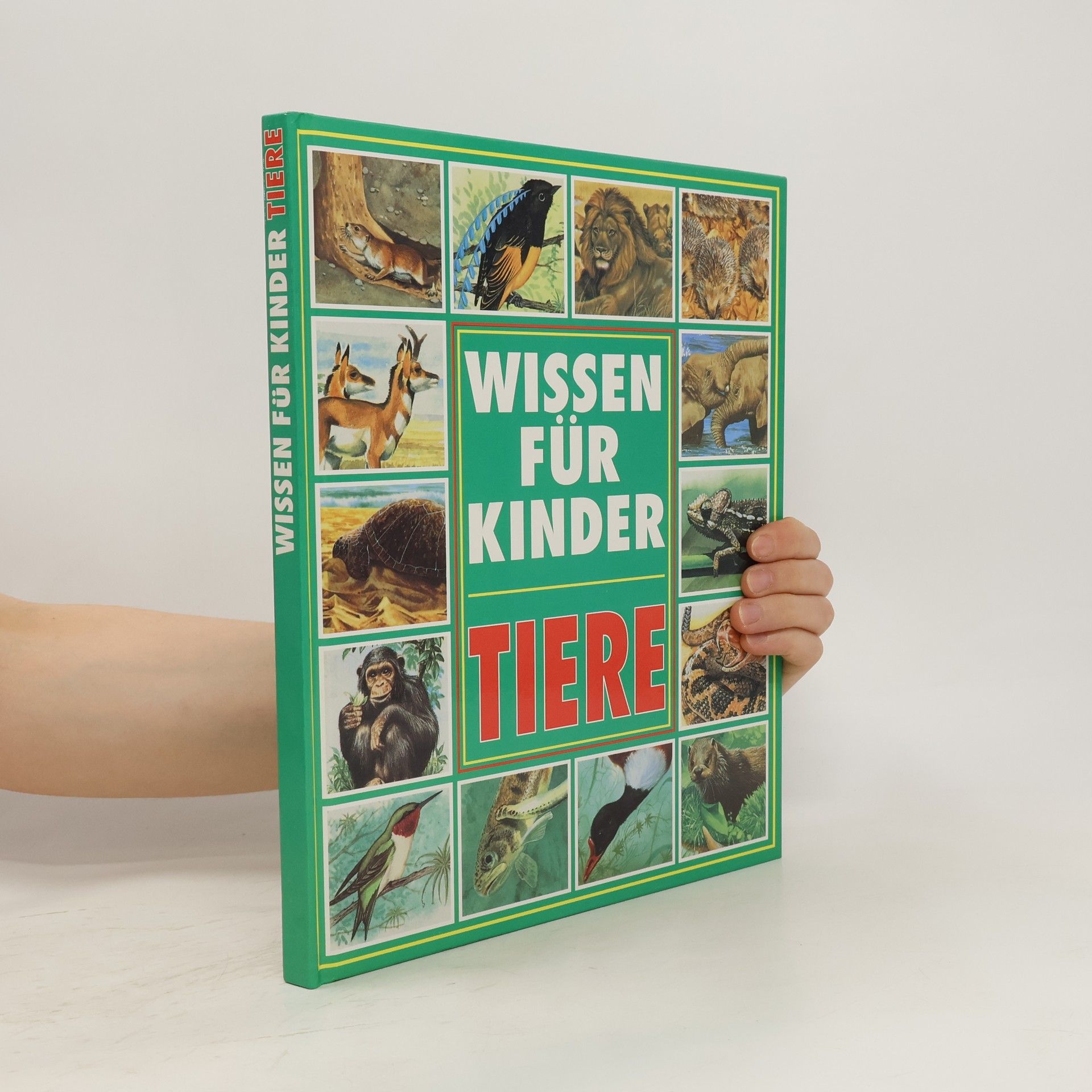 Michele Stable Tiere. Wissen für Kinder