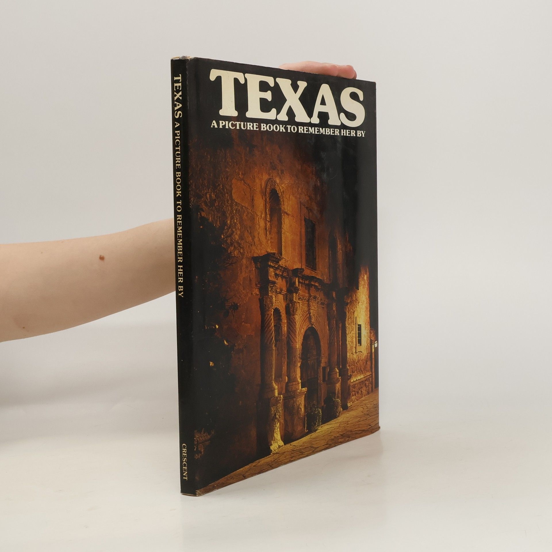 kolektiv Texas. A Picture Book to Remember her by