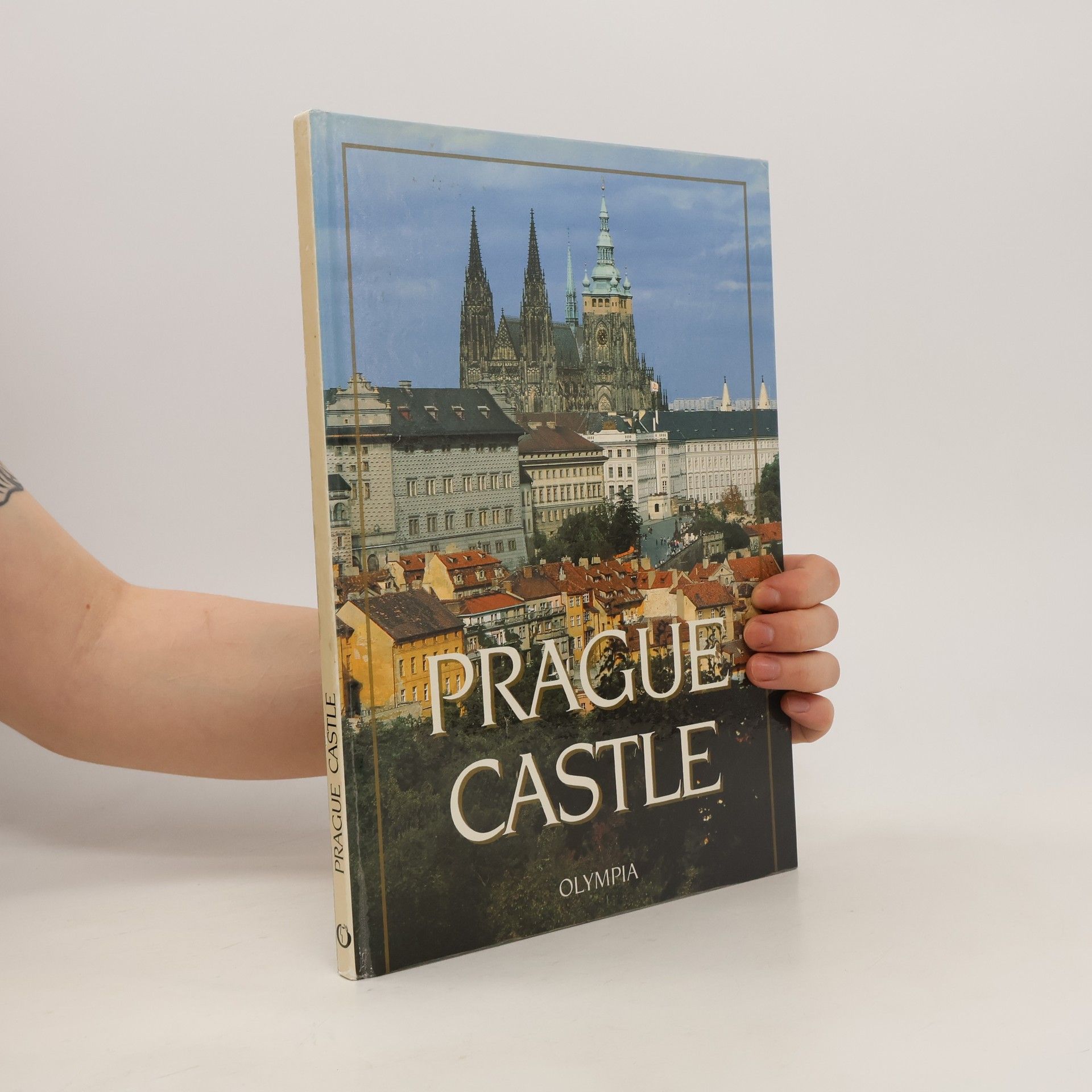 Petr Chotěbor The Prague Castle