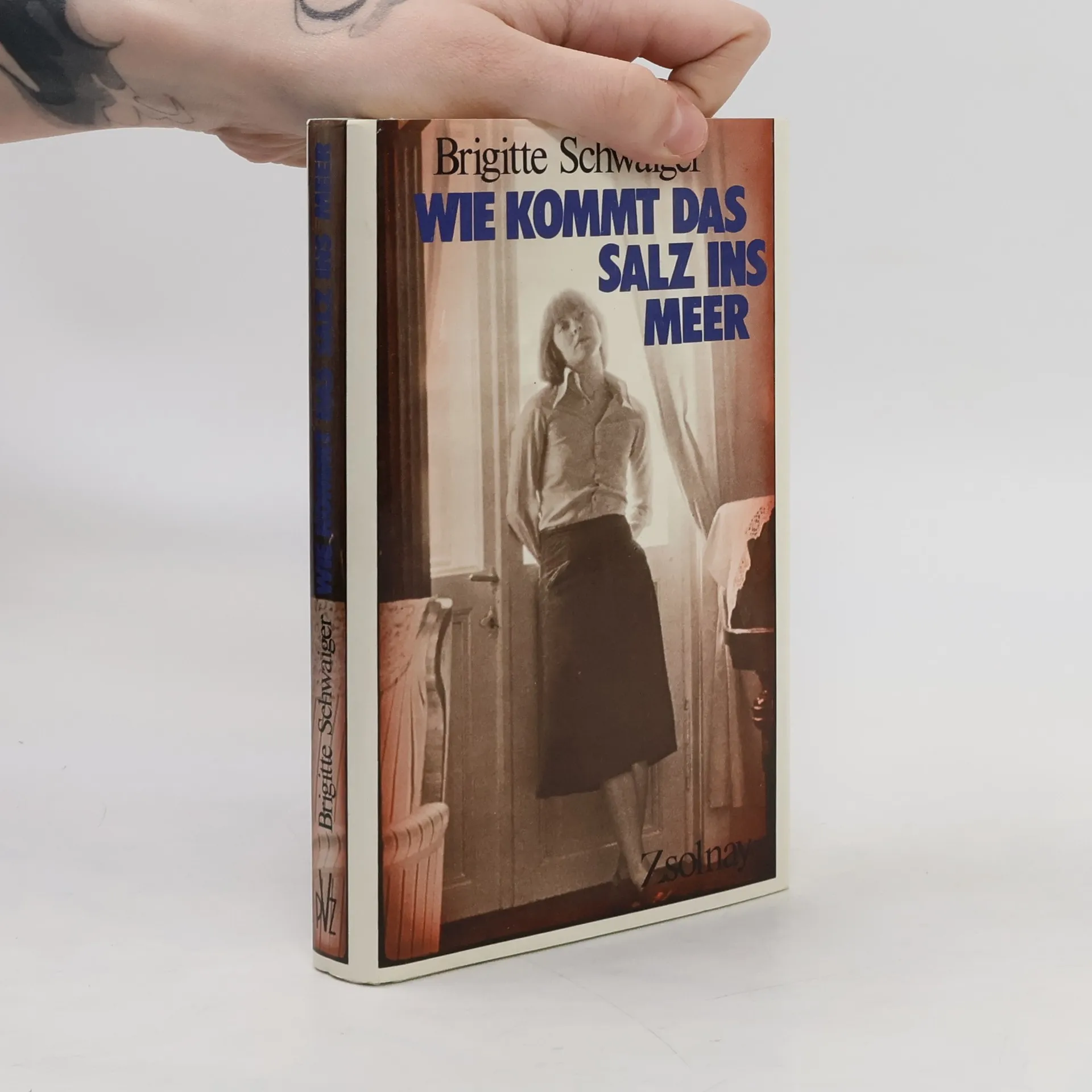 Wie kommt das Salz ins Meer | Buch | Hardcover | Brigitte Schwaiger