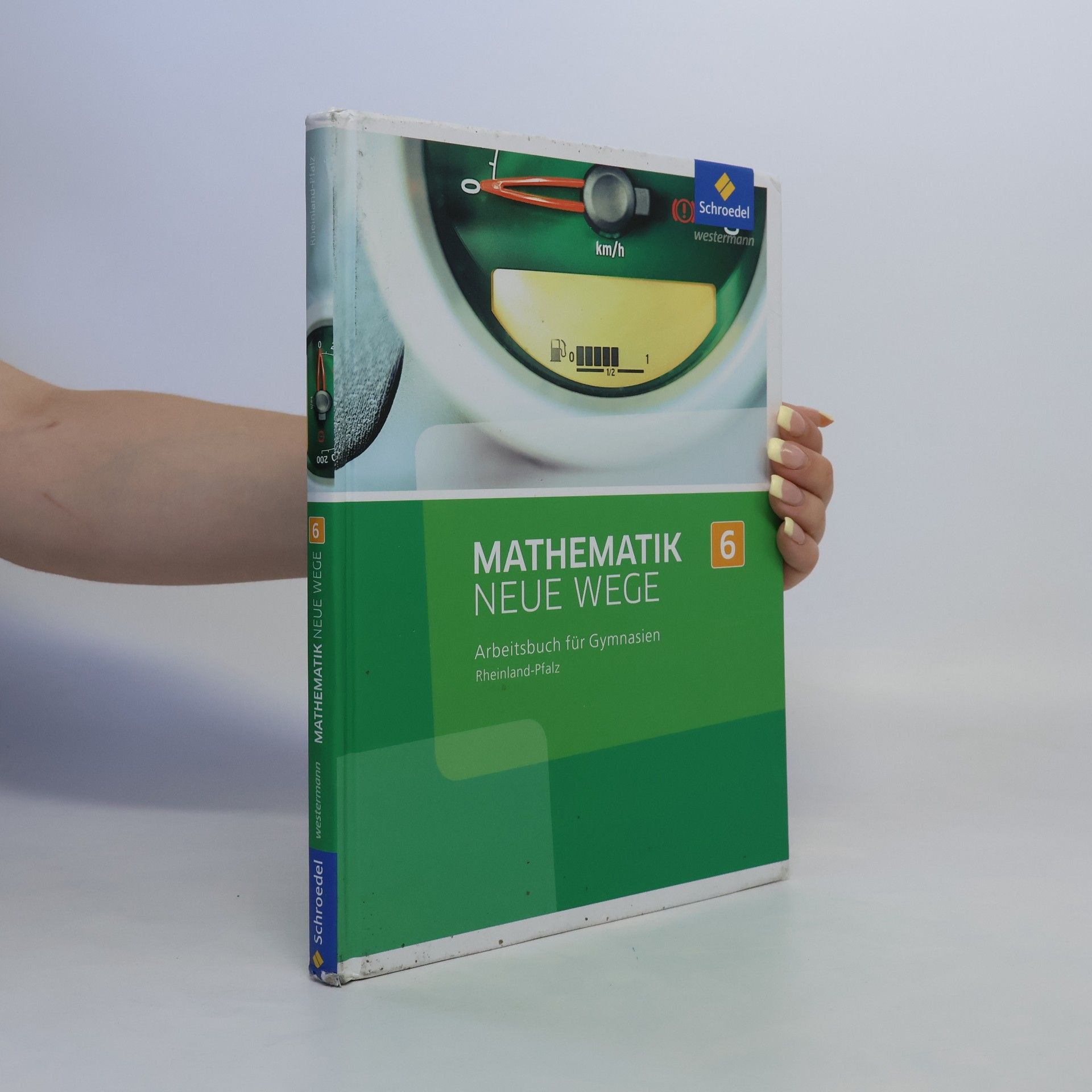 Rheinfald Pfalz Mathematik neue Wege