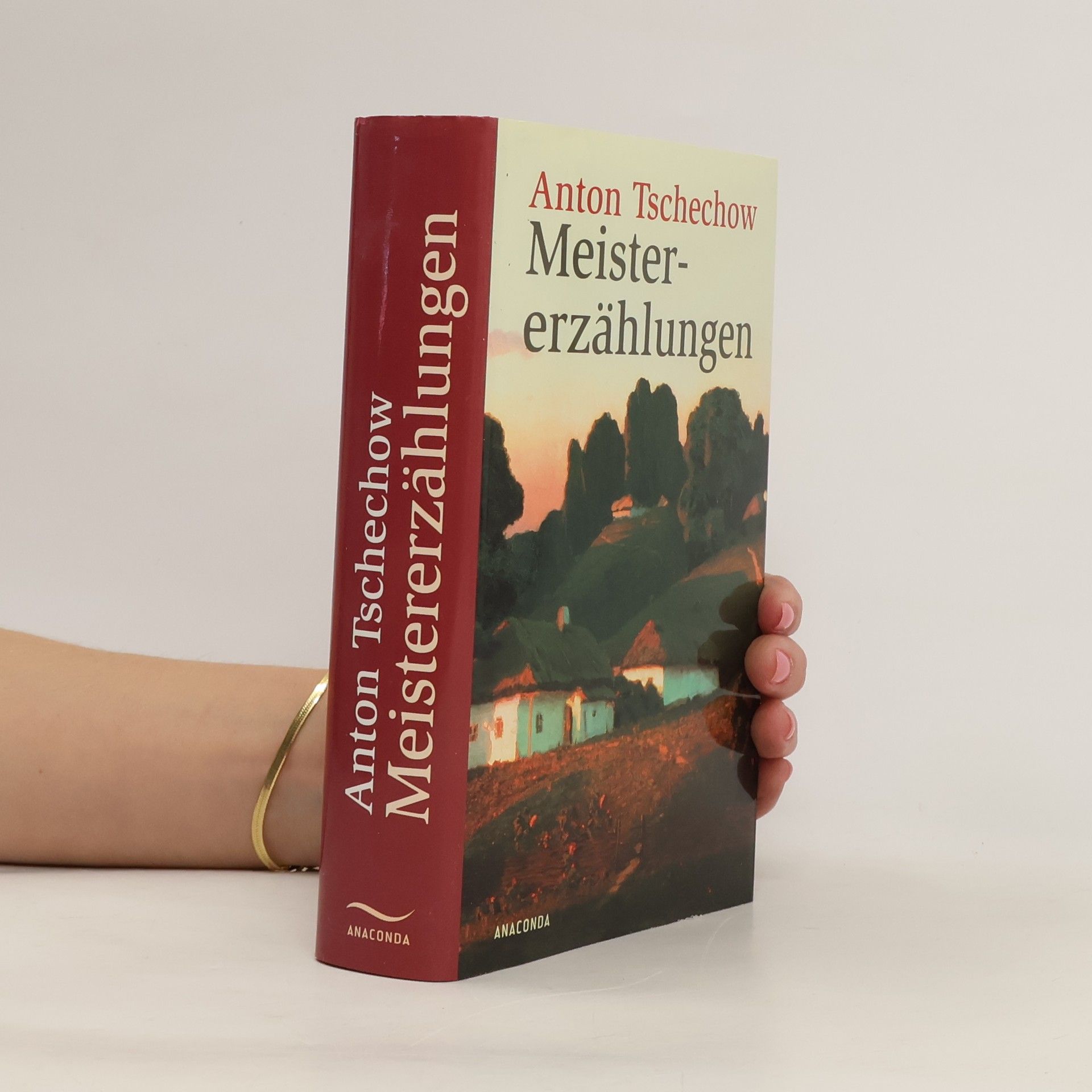 Anton Chekhov Meistererzählungen