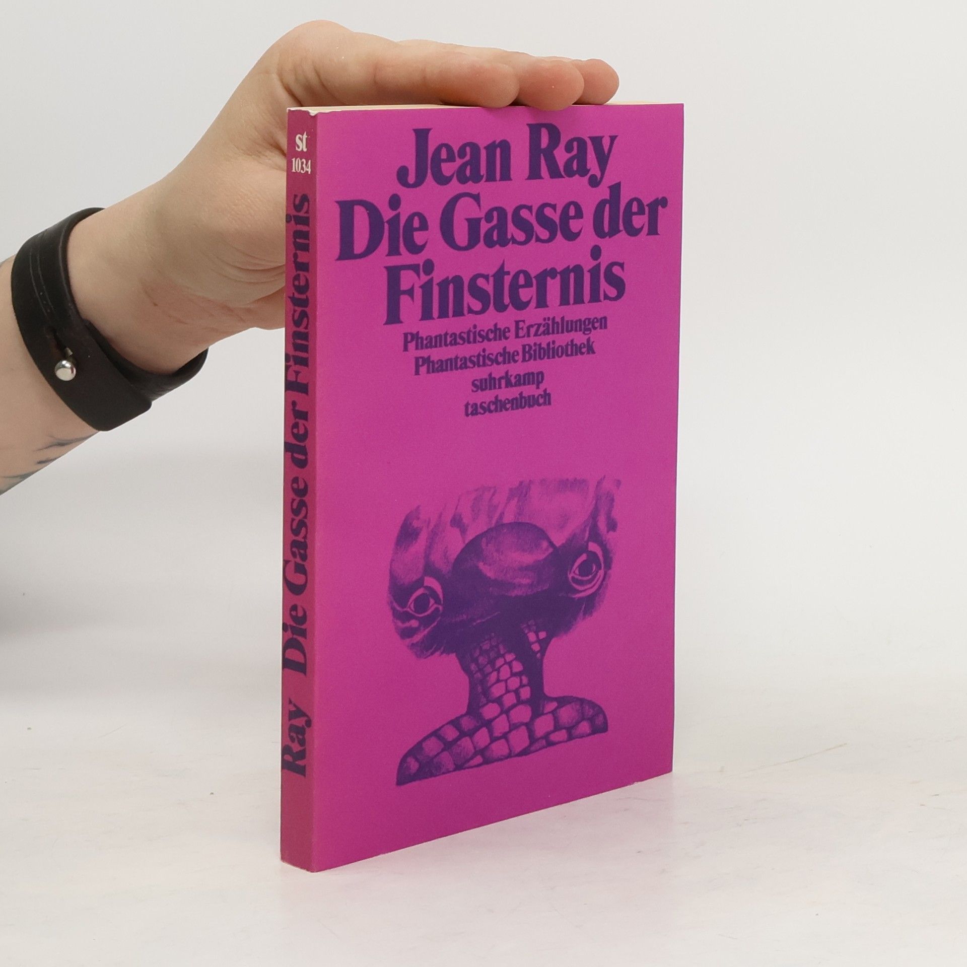 Raymundus Joannes de Kremer Die Gasse der Finsternis