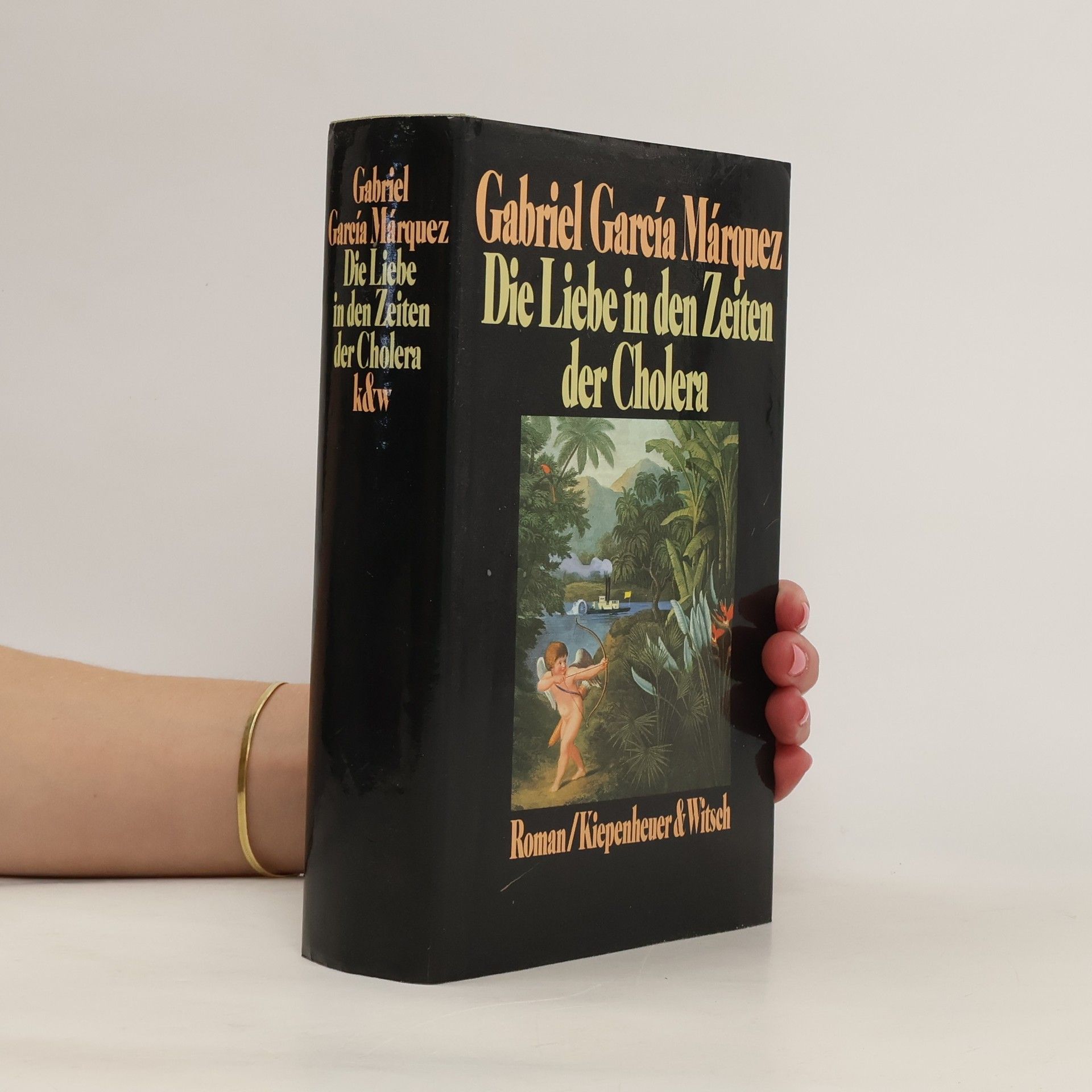 Gabriel García Márquez Die Liebe in den Zeiten der Cholera