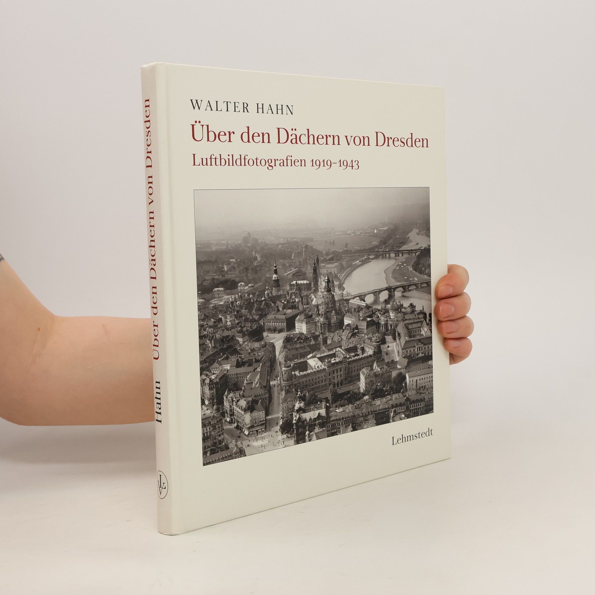 Walter Hahn Über den Dächern von Dresden