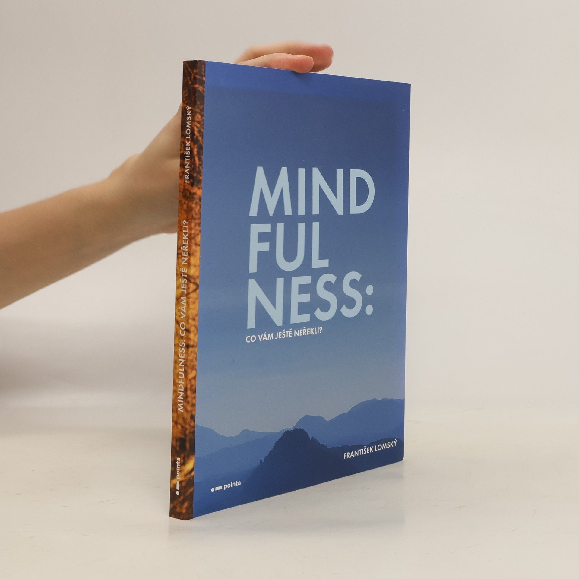 František Lomský Mindfulness : co vám ještě neřekli?