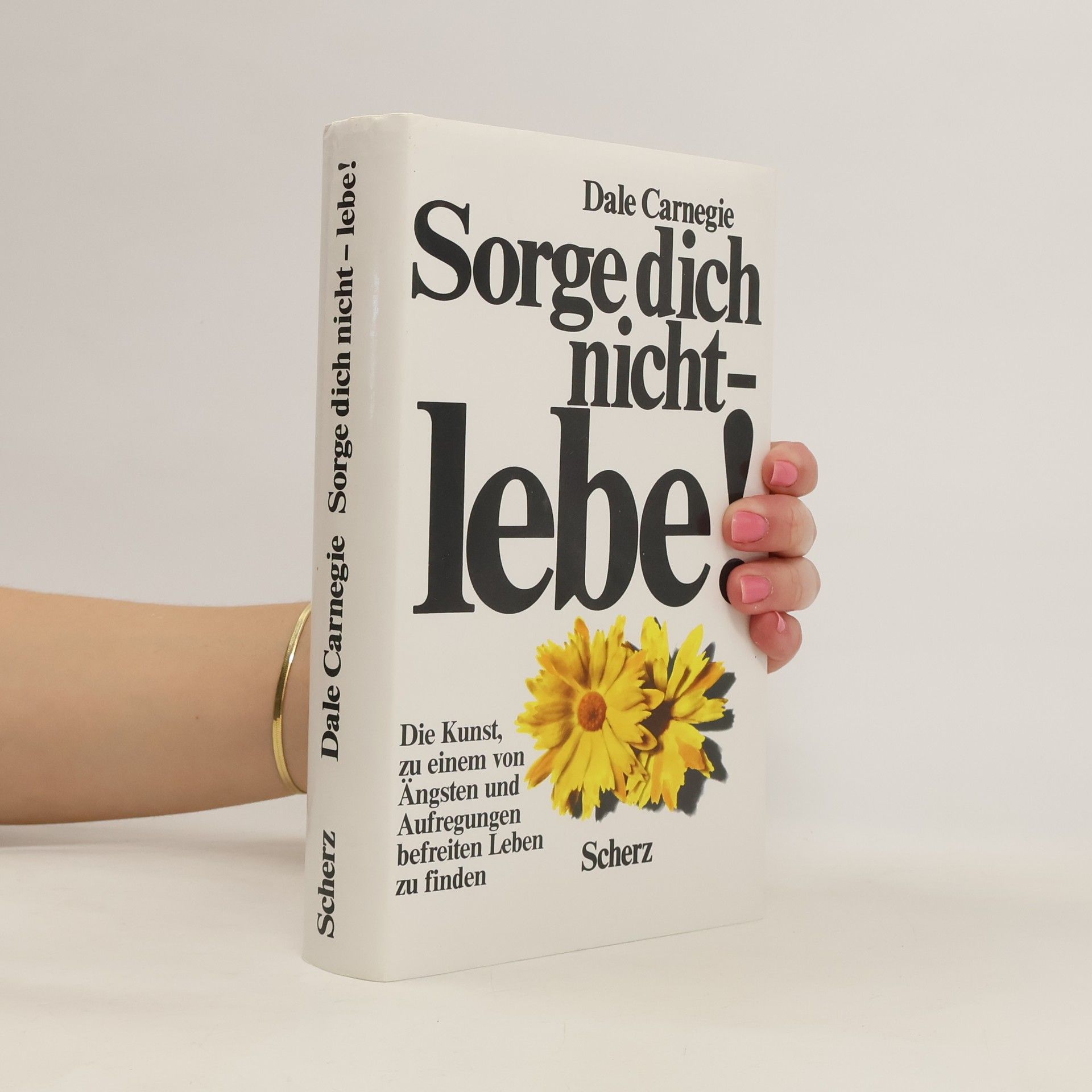 Dale Carnegie Sorge dich nicht - lebe!