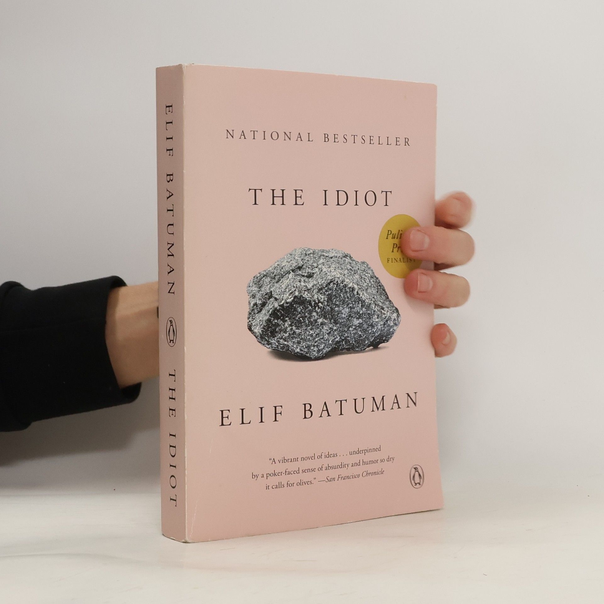 Elif Batuman The Idiot