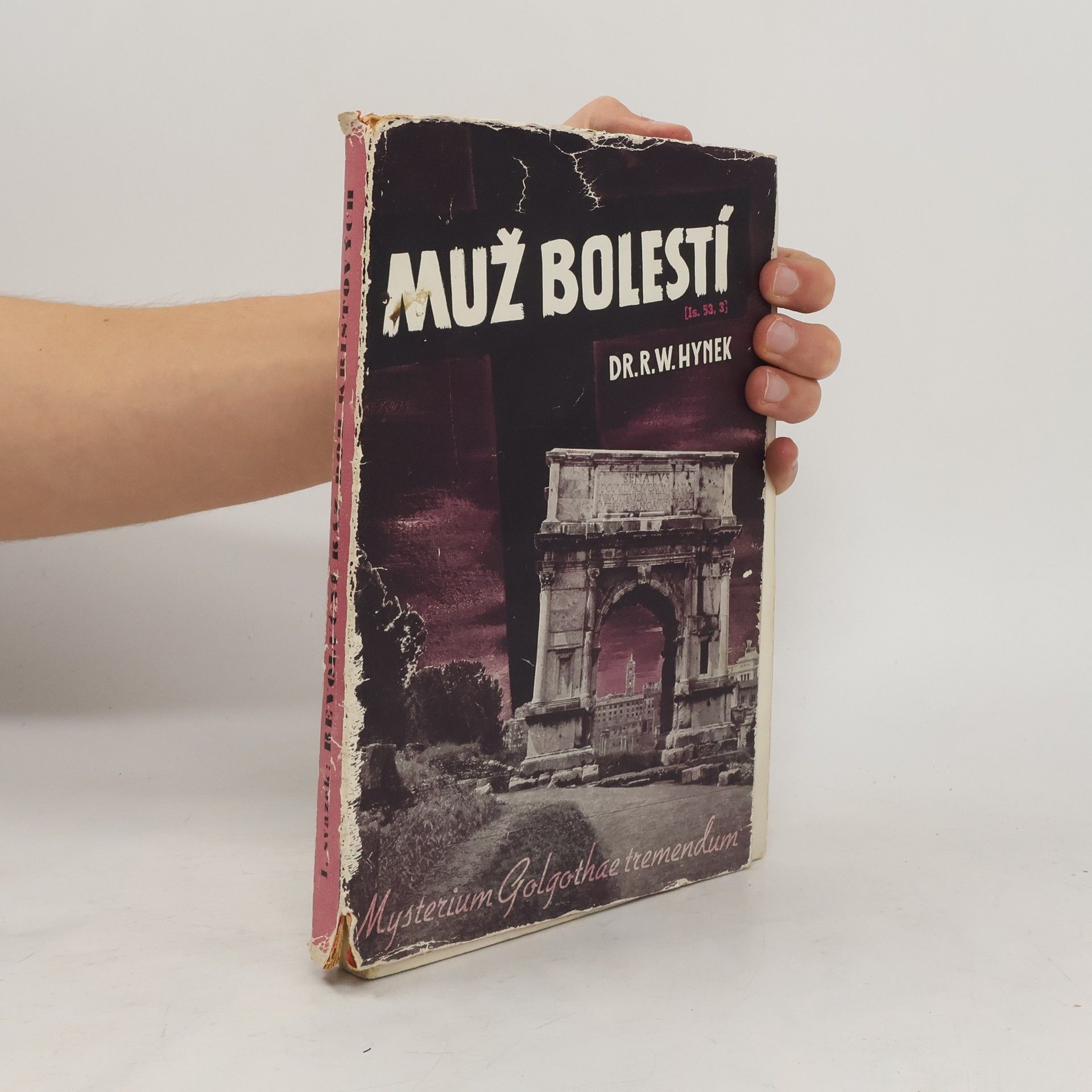 R. W. Hynek Muž bolestí