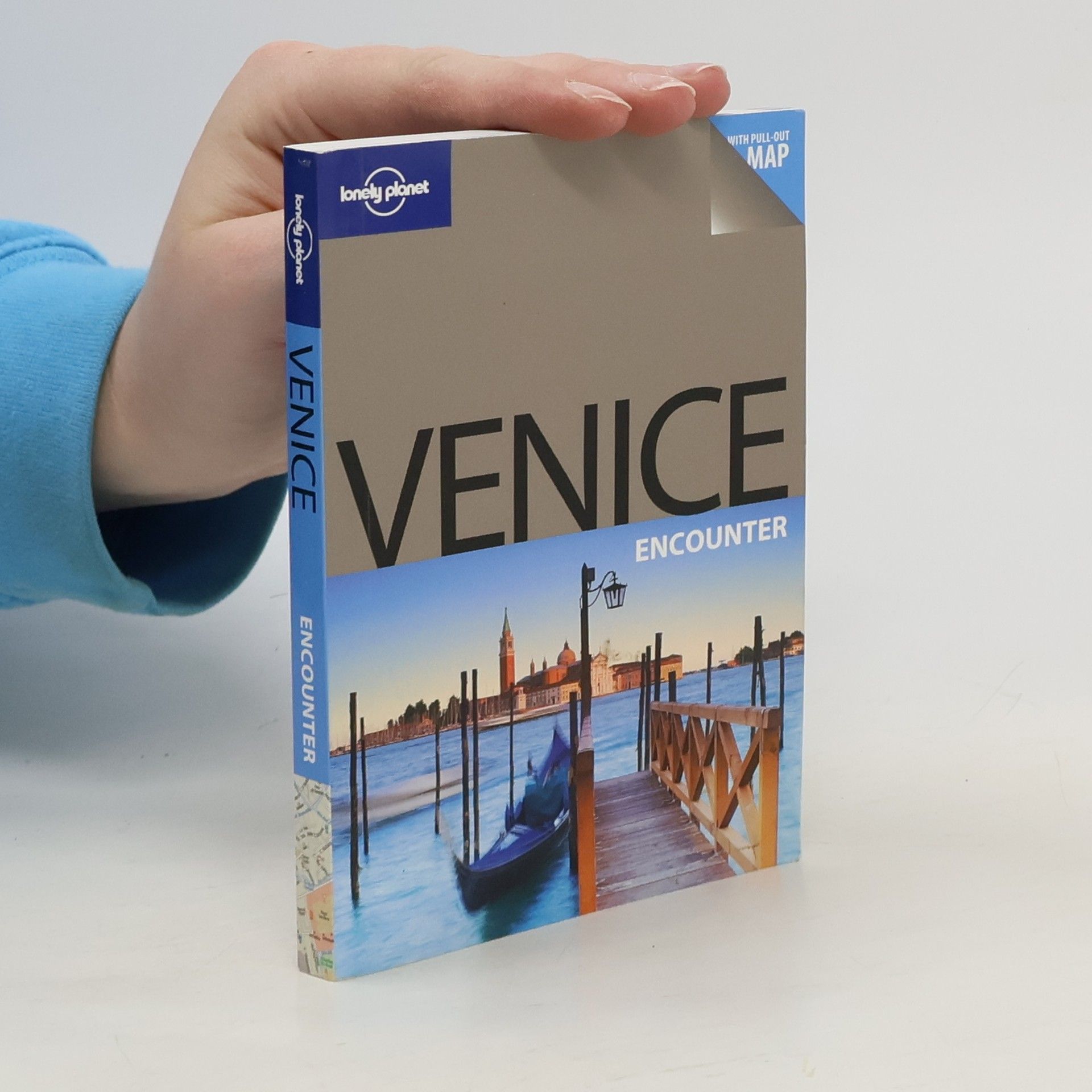 Alison Bing Venice Encounter