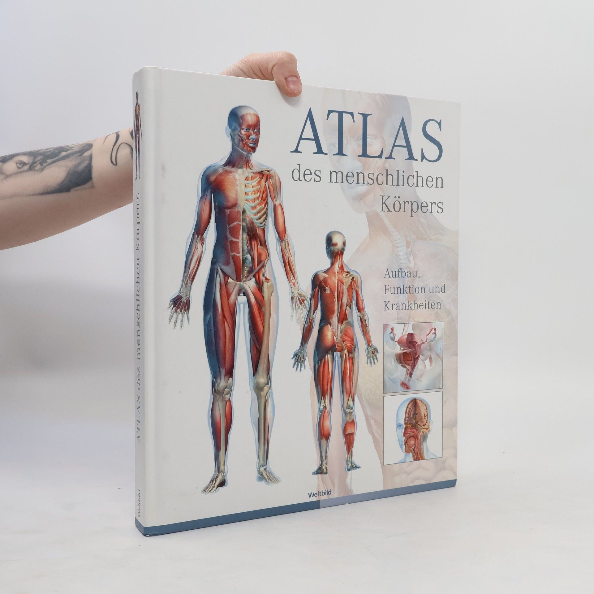Beverly McMillan Atlas des menschlichen Körpers