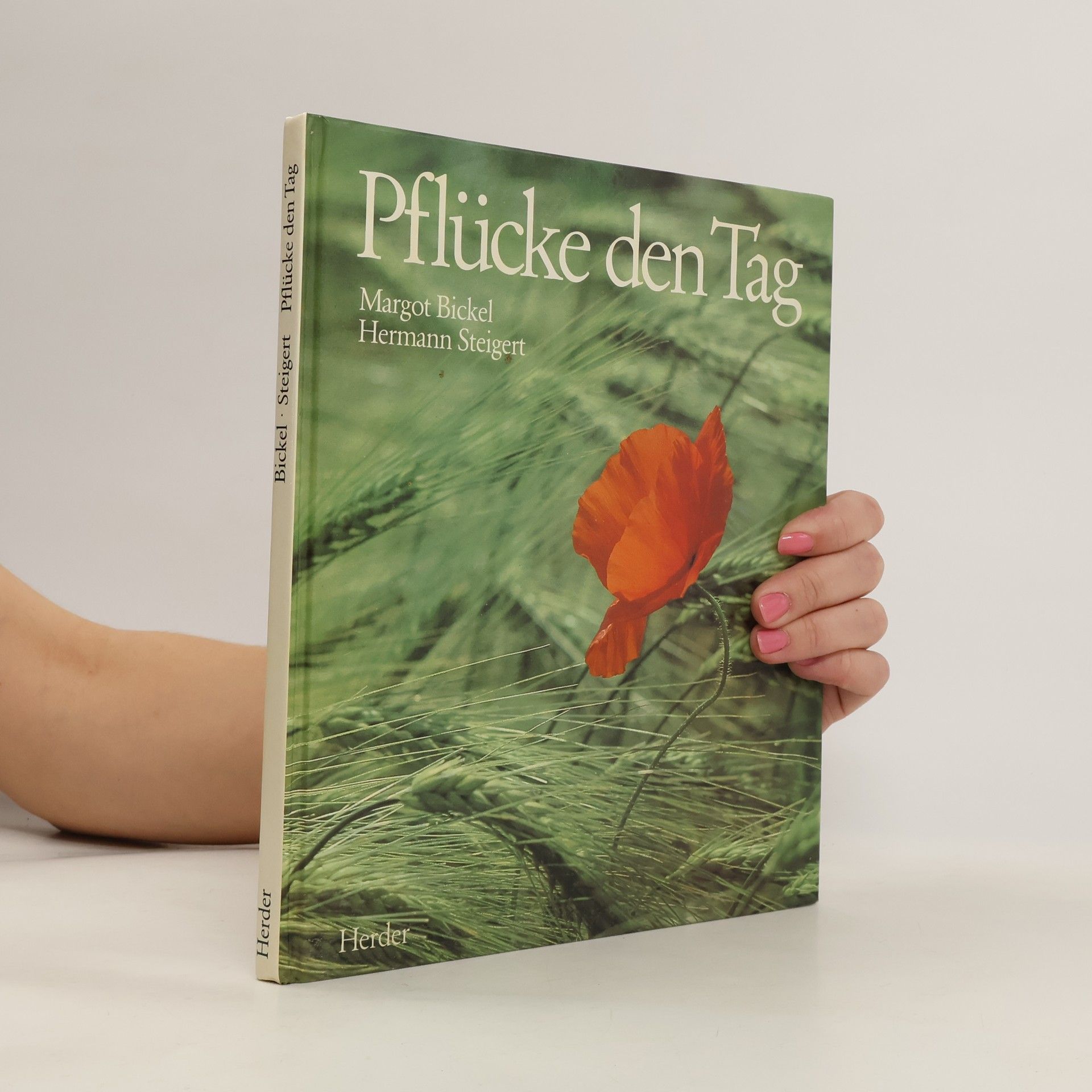 Margot Bickel Pflücke den Tag